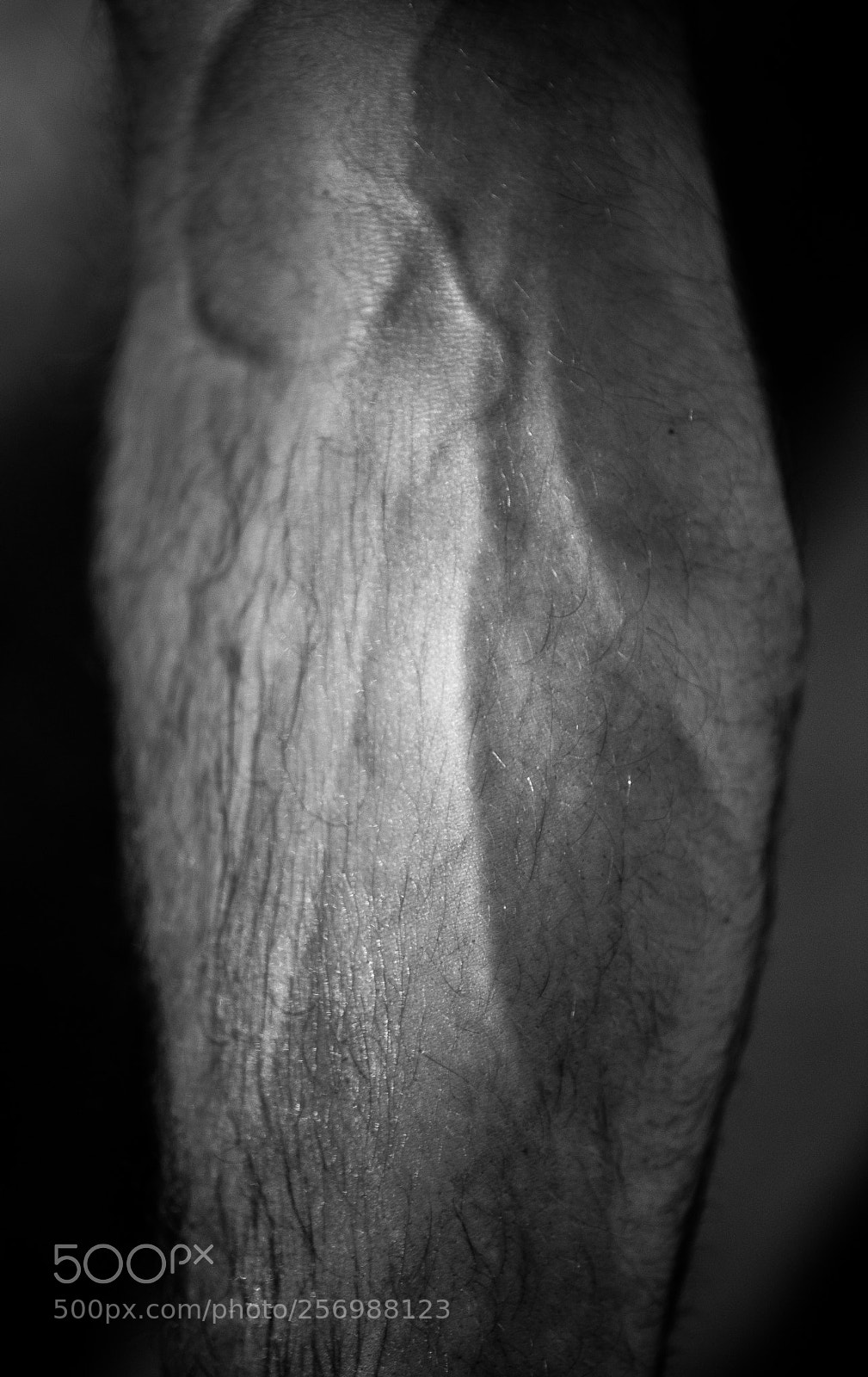 Nikon D750 sample photo. Strength photography
