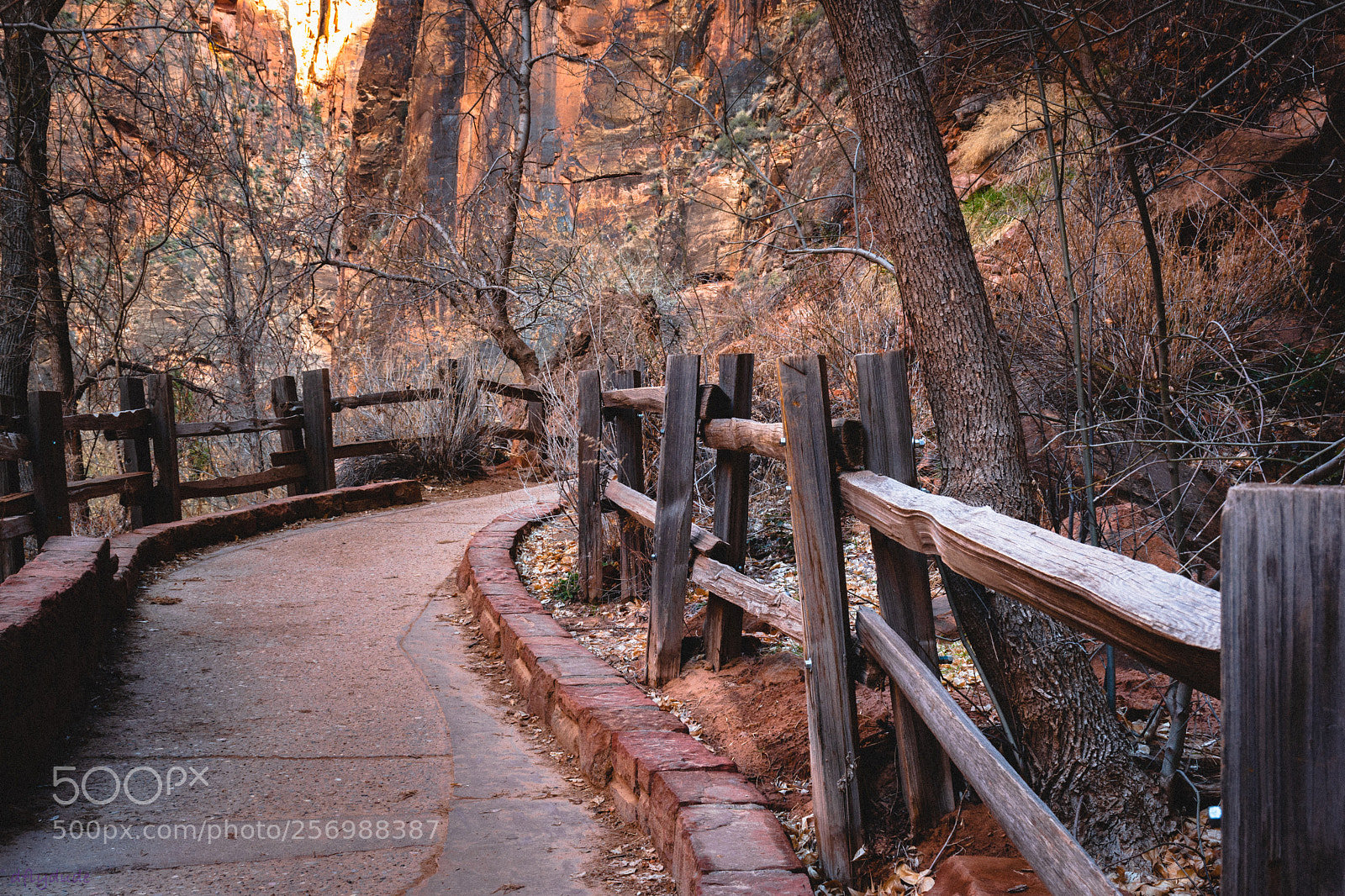 Nikon D5600 sample photo. Canyon trail 3246 photography