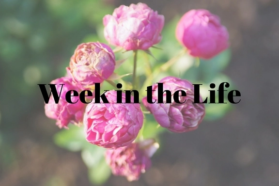 Week in the Life by Jacqueline and Kevin Reape on 500px.com