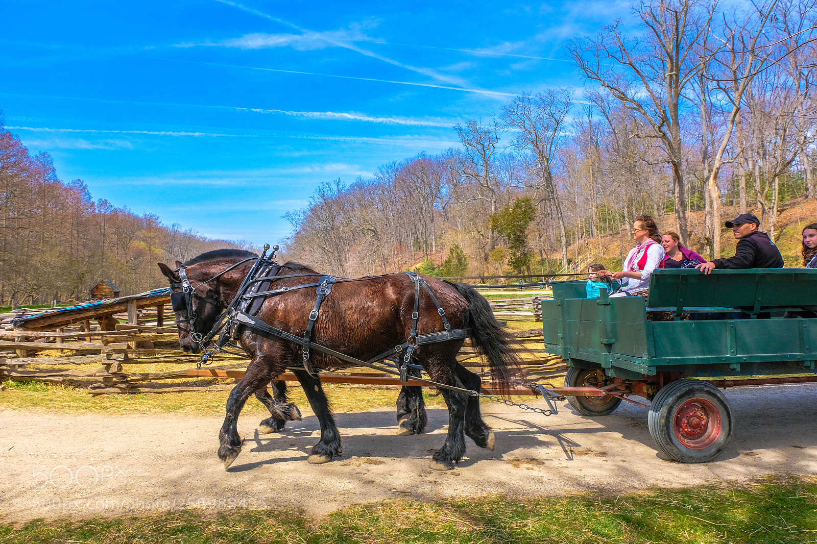 Fujifilm X-T20 sample photo. Horse drawn wagon ride. photography
