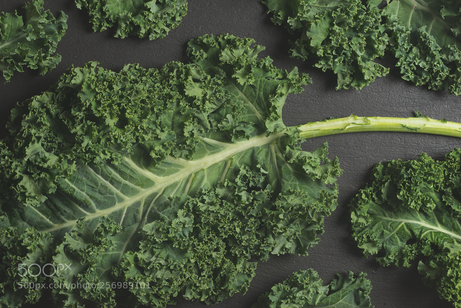 Sony a7R sample photo. Kale flat lay photography