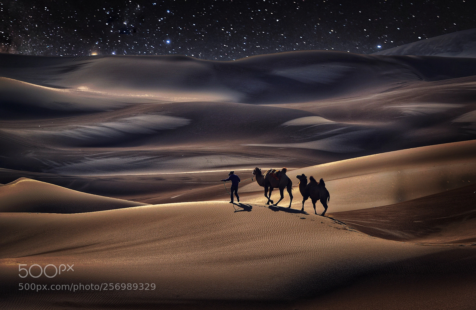 Nikon D800 sample photo. Xinjiang china photography