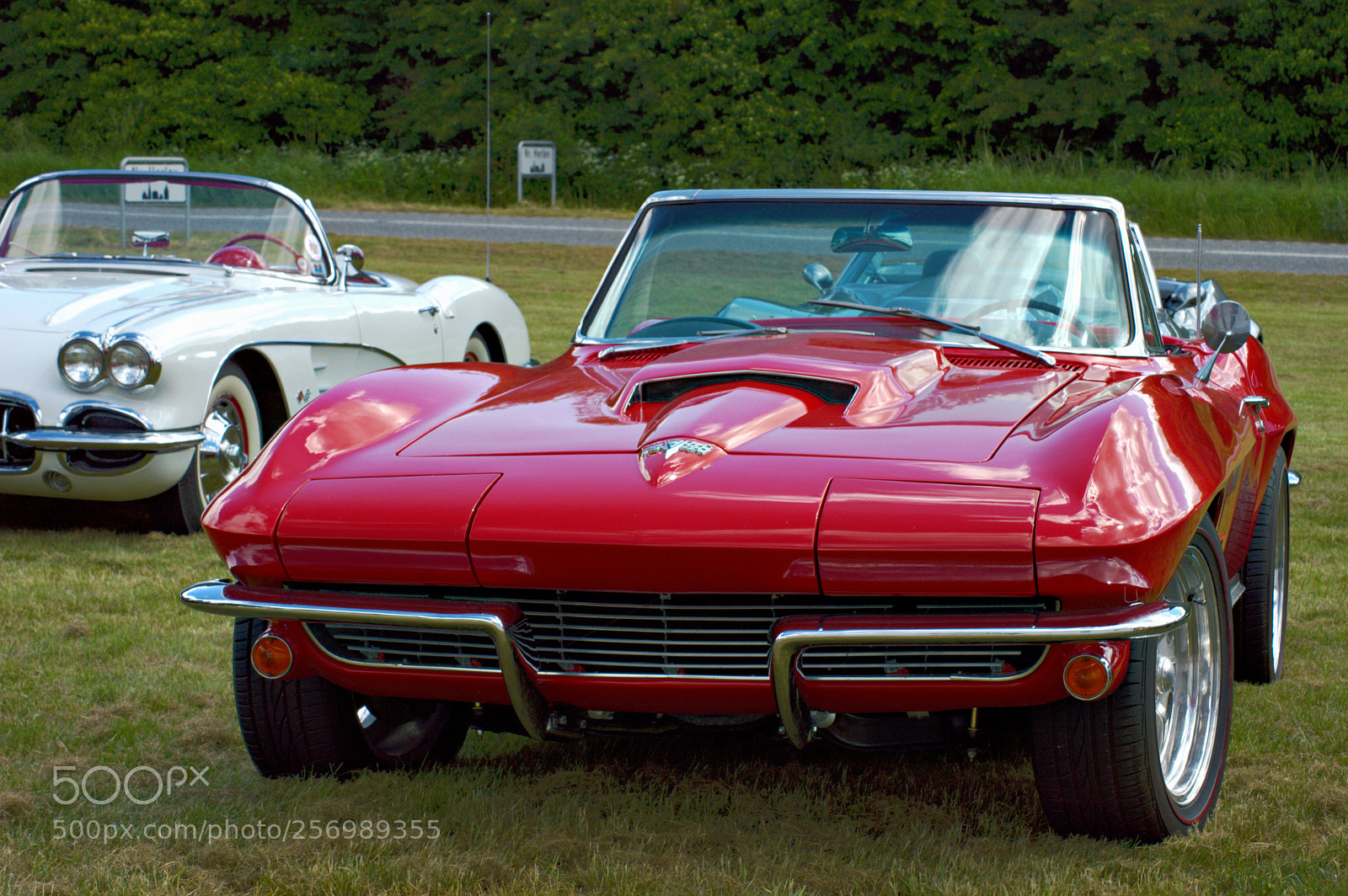 Nikon D3200 sample photo. Little red corvette (prince?) photography