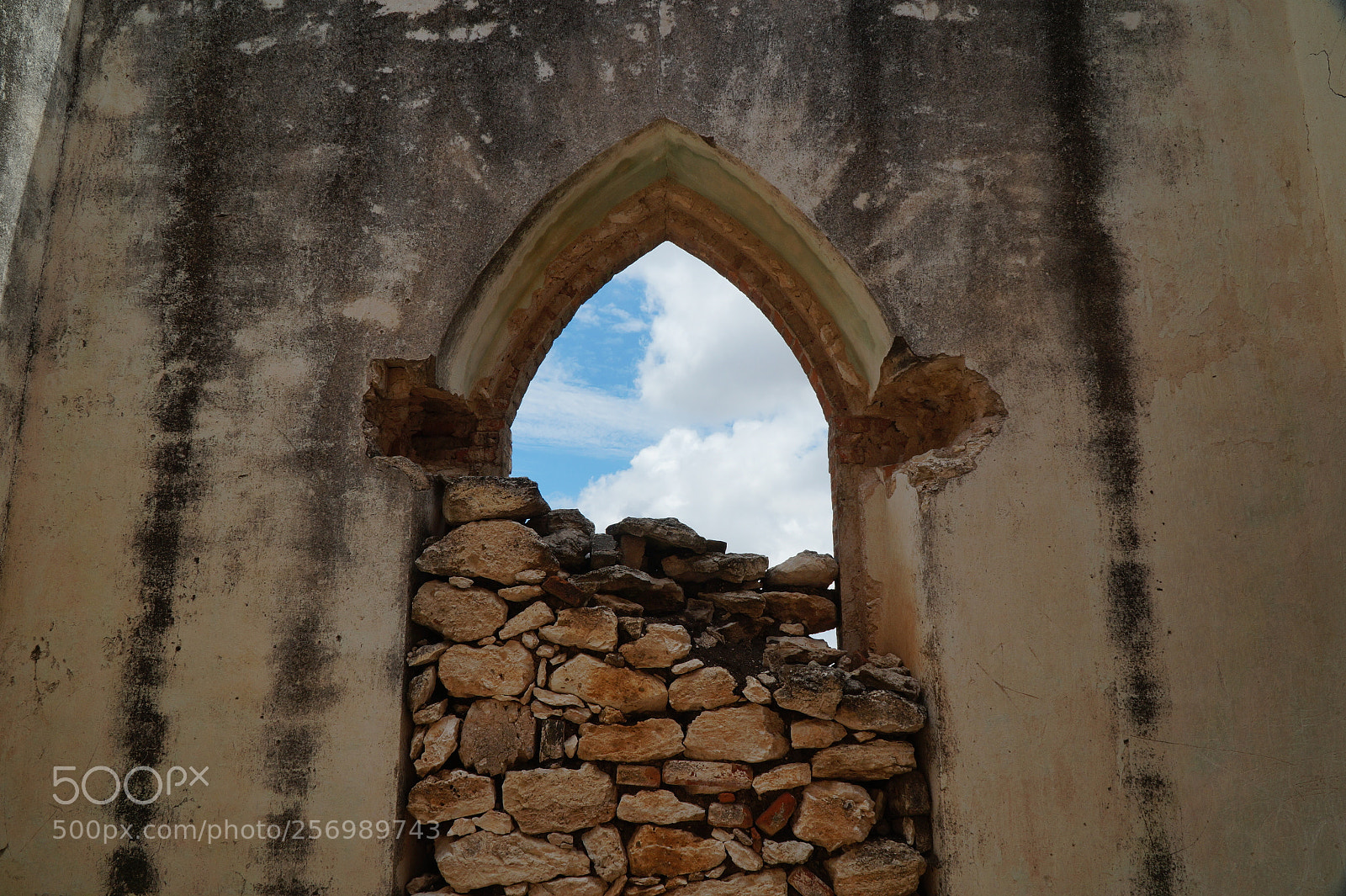 Sony Alpha a3500 sample photo. Trascending thought photography