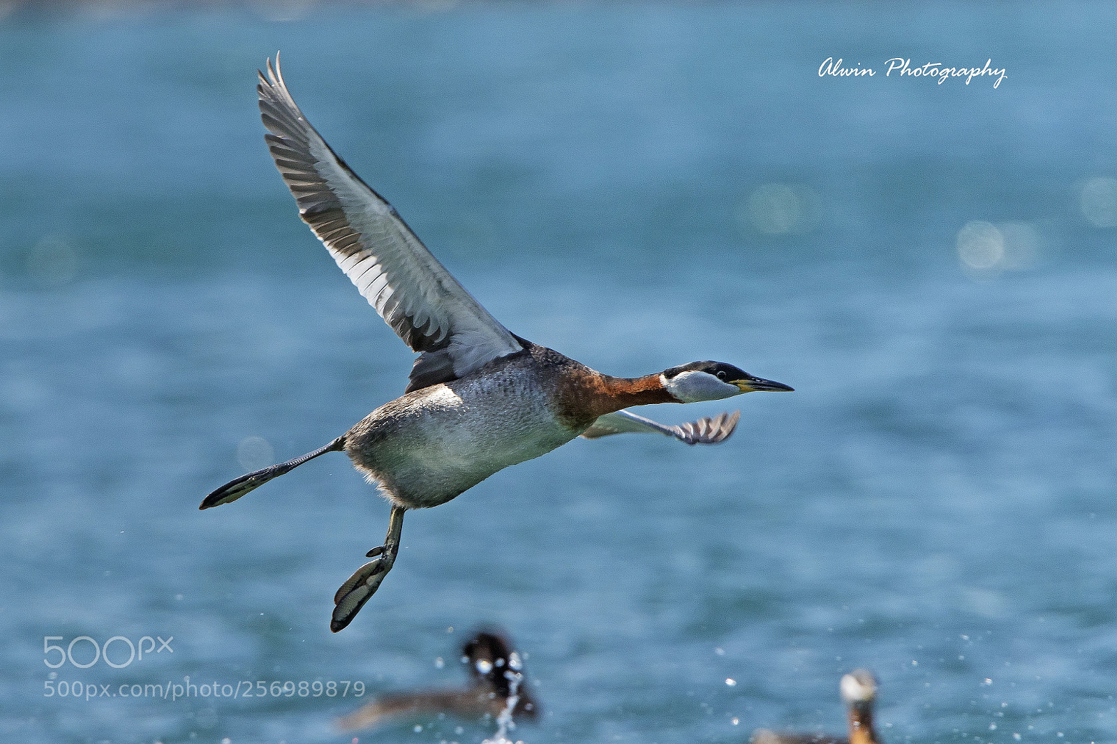 Canon EOS 7D Mark II sample photo. Landing photography