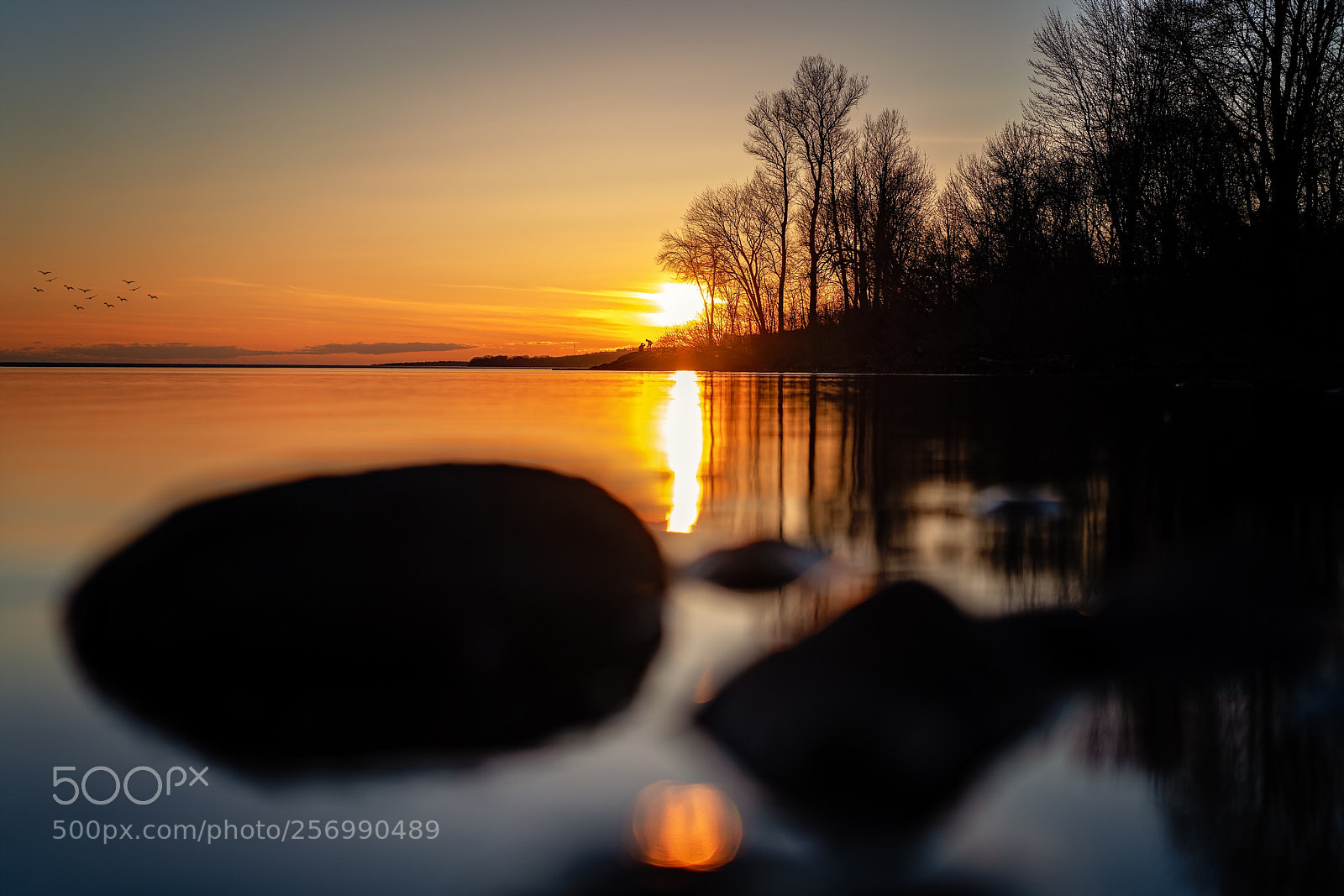 Sony a7R II sample photo. Sun drop photography