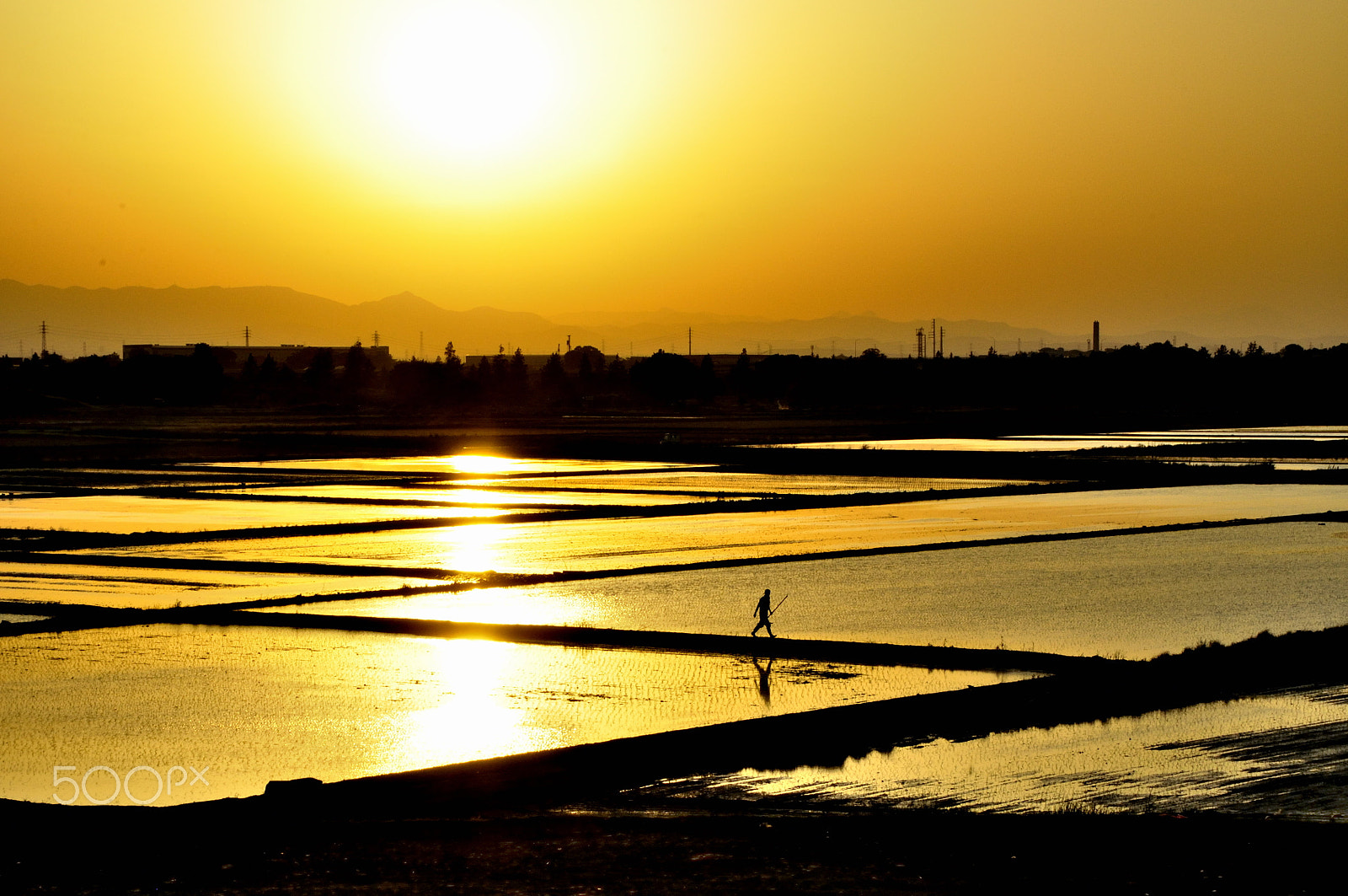 Nikon D90 sample photo. サンセット photography