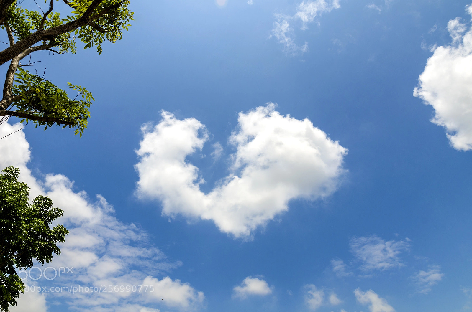 Nikon D7000 sample photo. Sky photography