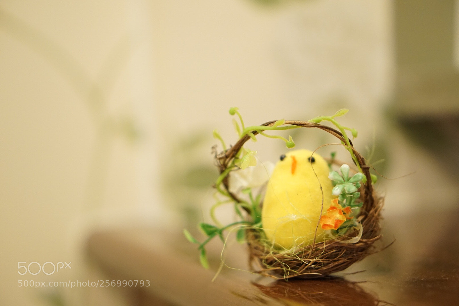 Sony a6000 sample photo. Bird in the cage photography
