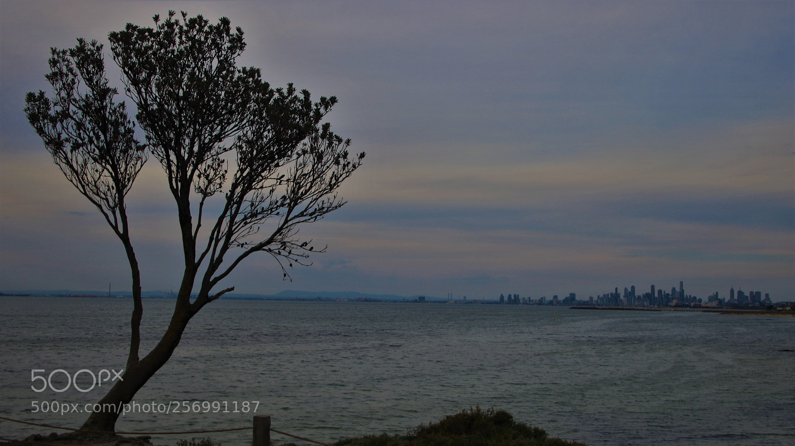 Canon EOS 750D (EOS Rebel T6i / EOS Kiss X8i) sample photo. Img photography
