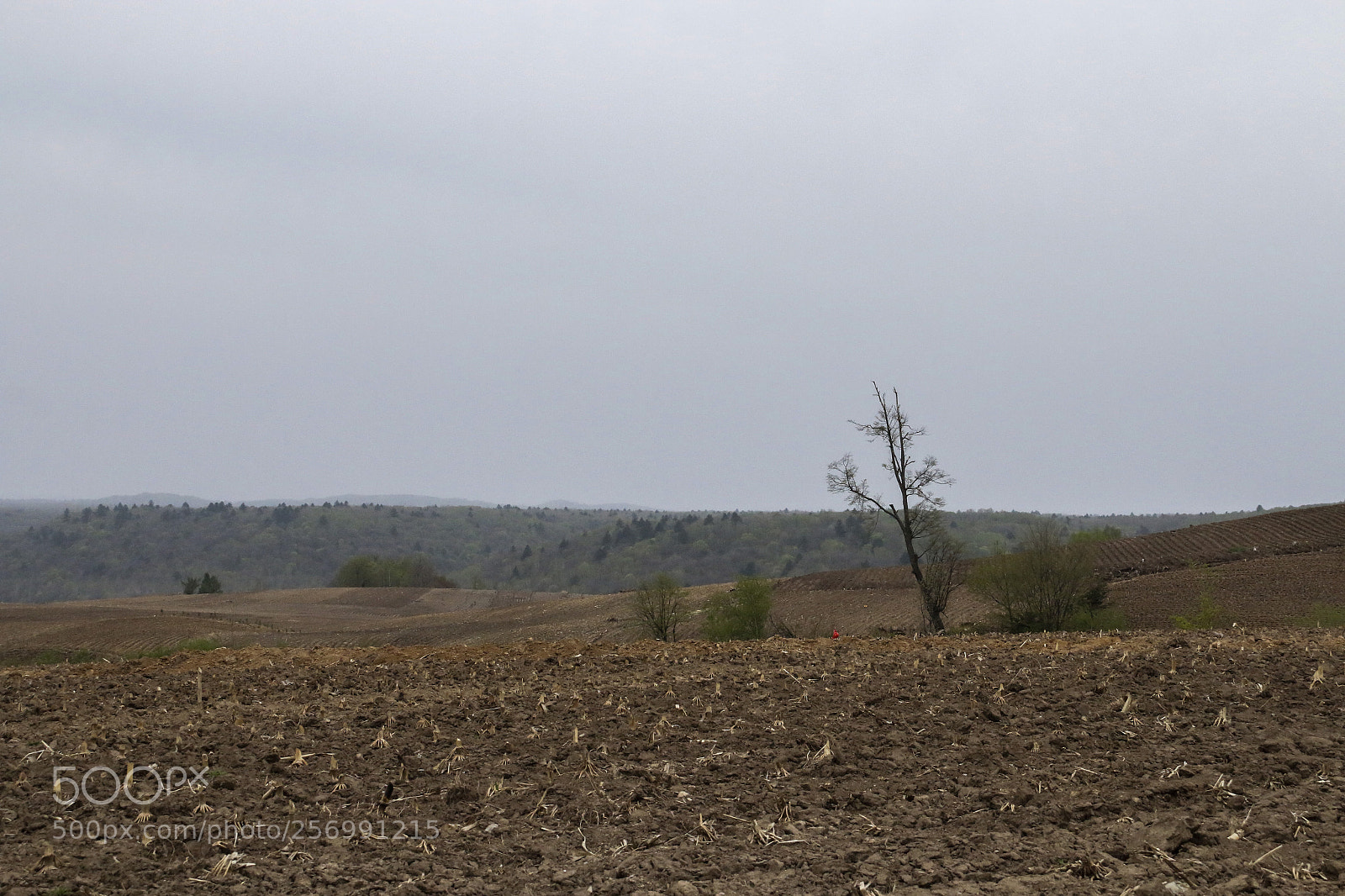 Canon EOS 70D sample photo. Cropland after farming photography