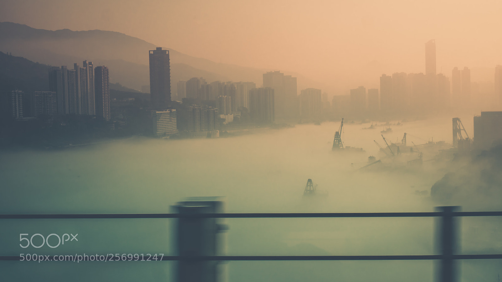 Sony a6300 sample photo. Foggy morning photography