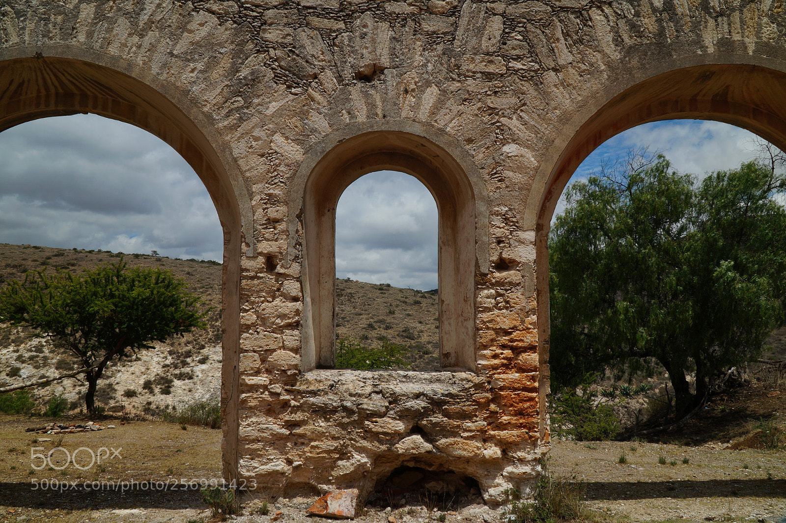 Sony Alpha a3500 sample photo. In between photography