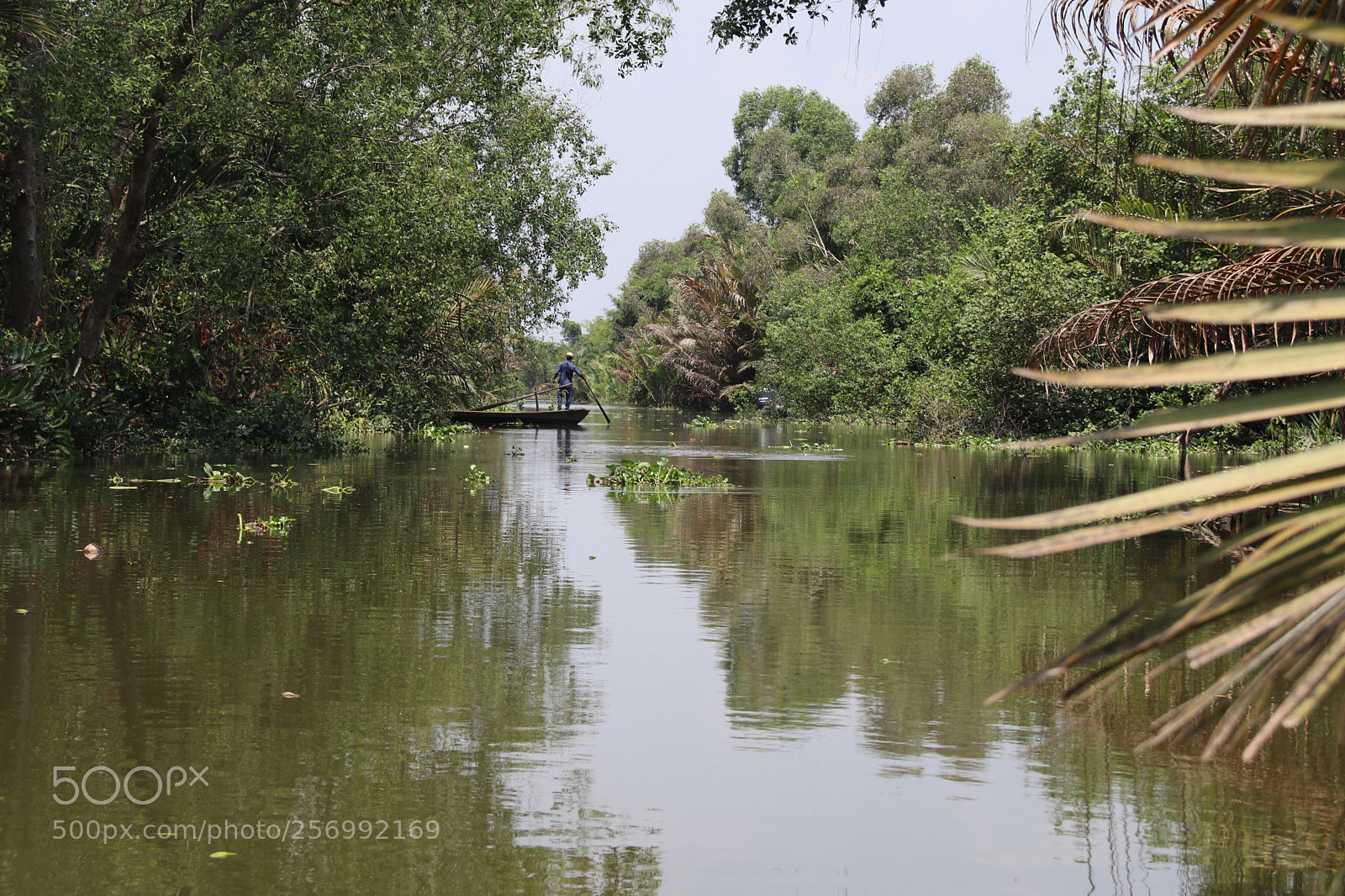 Canon EOS 80D sample photo. Thu-thua-2018r.jpg photography