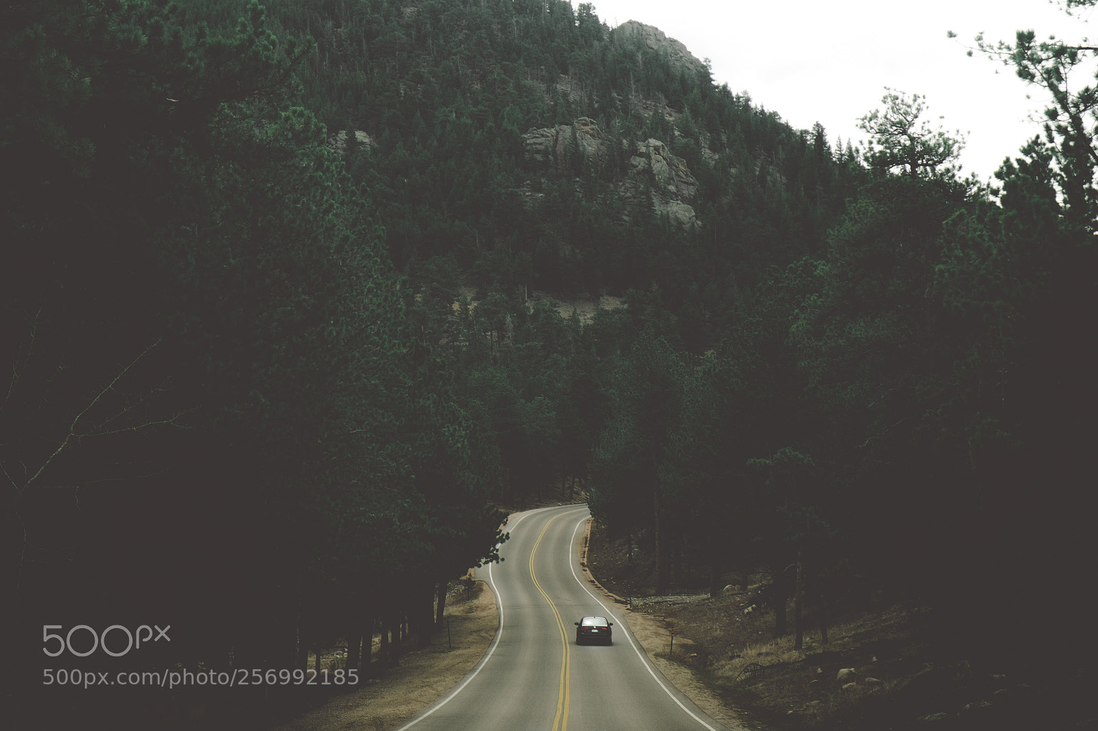 Fujifilm X-T1 sample photo. The drive  photography