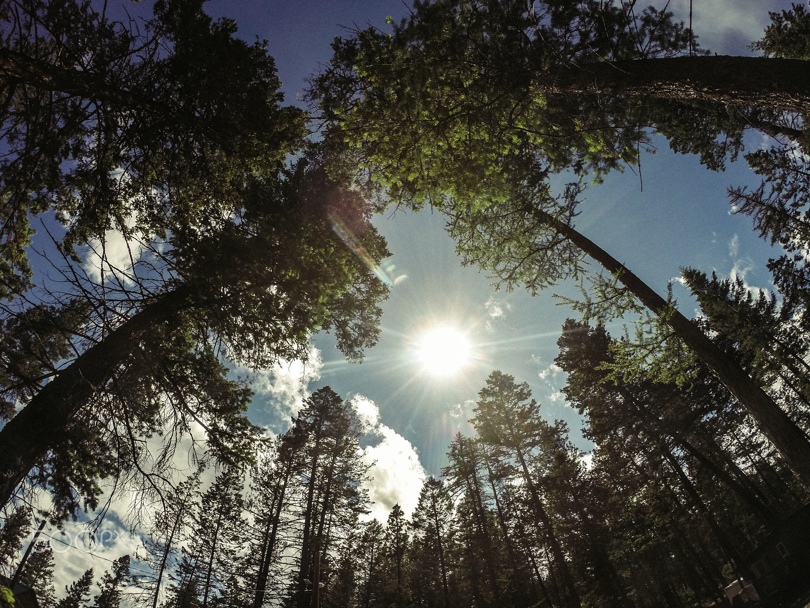 GoPro HERO3+ Black Edition sample photo. Dcim\124gopro photography