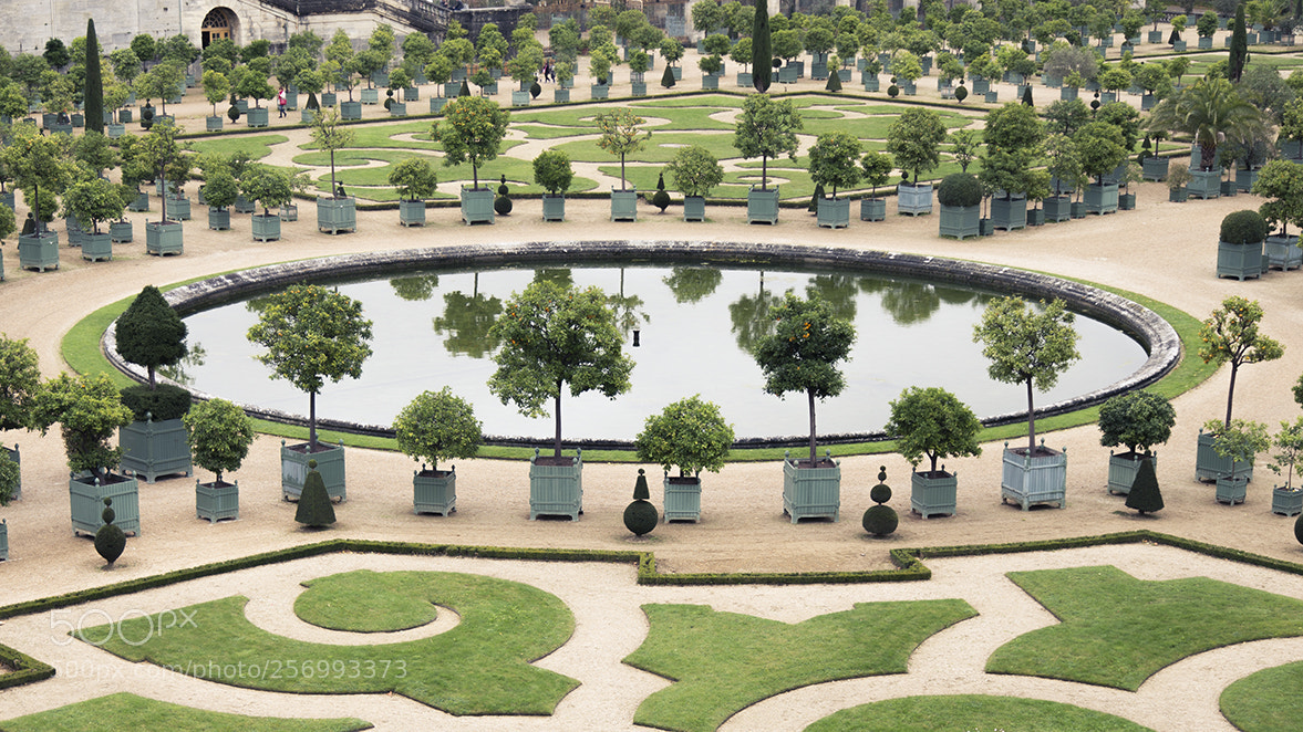 Canon EOS 6D sample photo. | xiv | photography