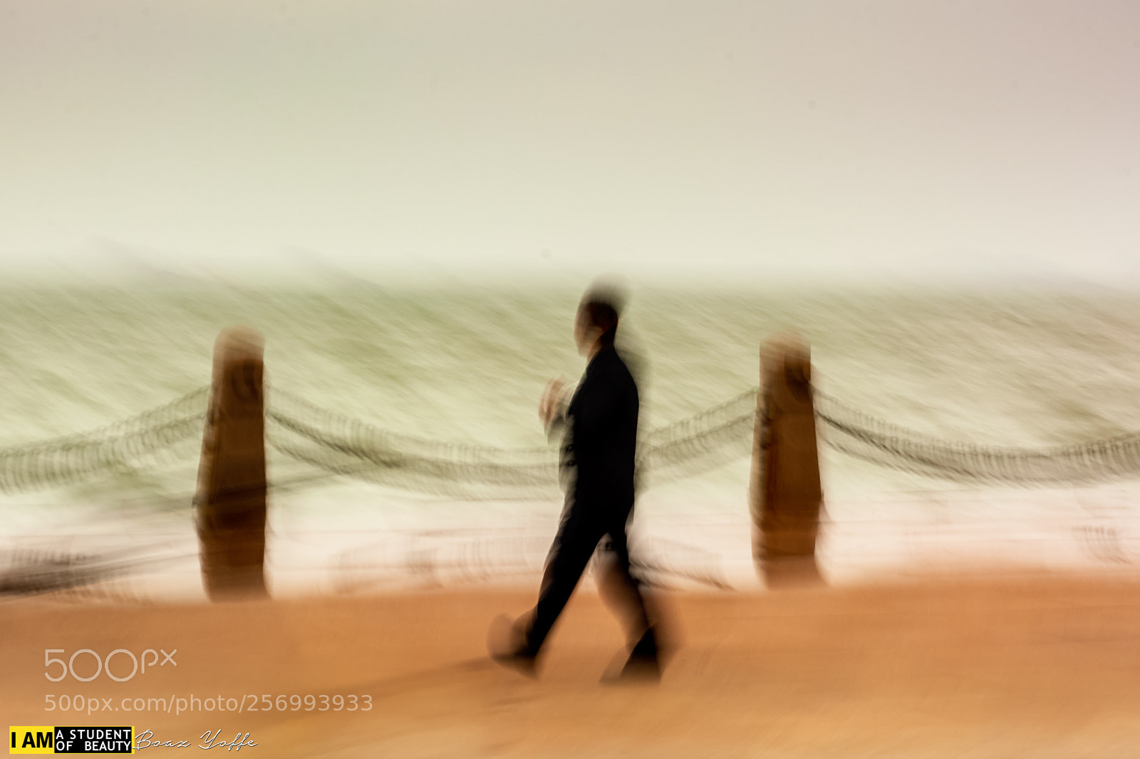 Nikon D7100 sample photo. Walk on the yellow photography
