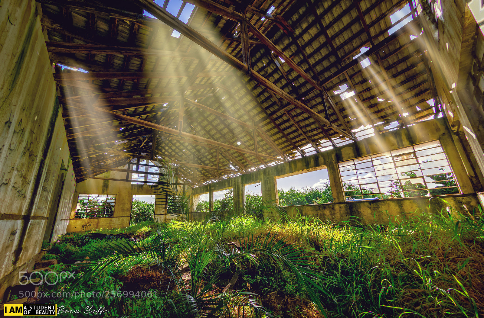 Nikon D7100 sample photo. Abandoned cider house, israel photography