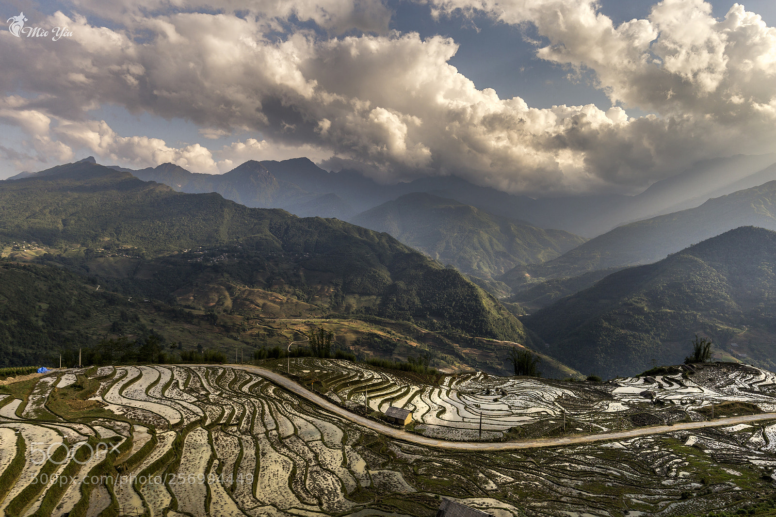 Canon EOS 6D sample photo. Summer on terraced fileds photography