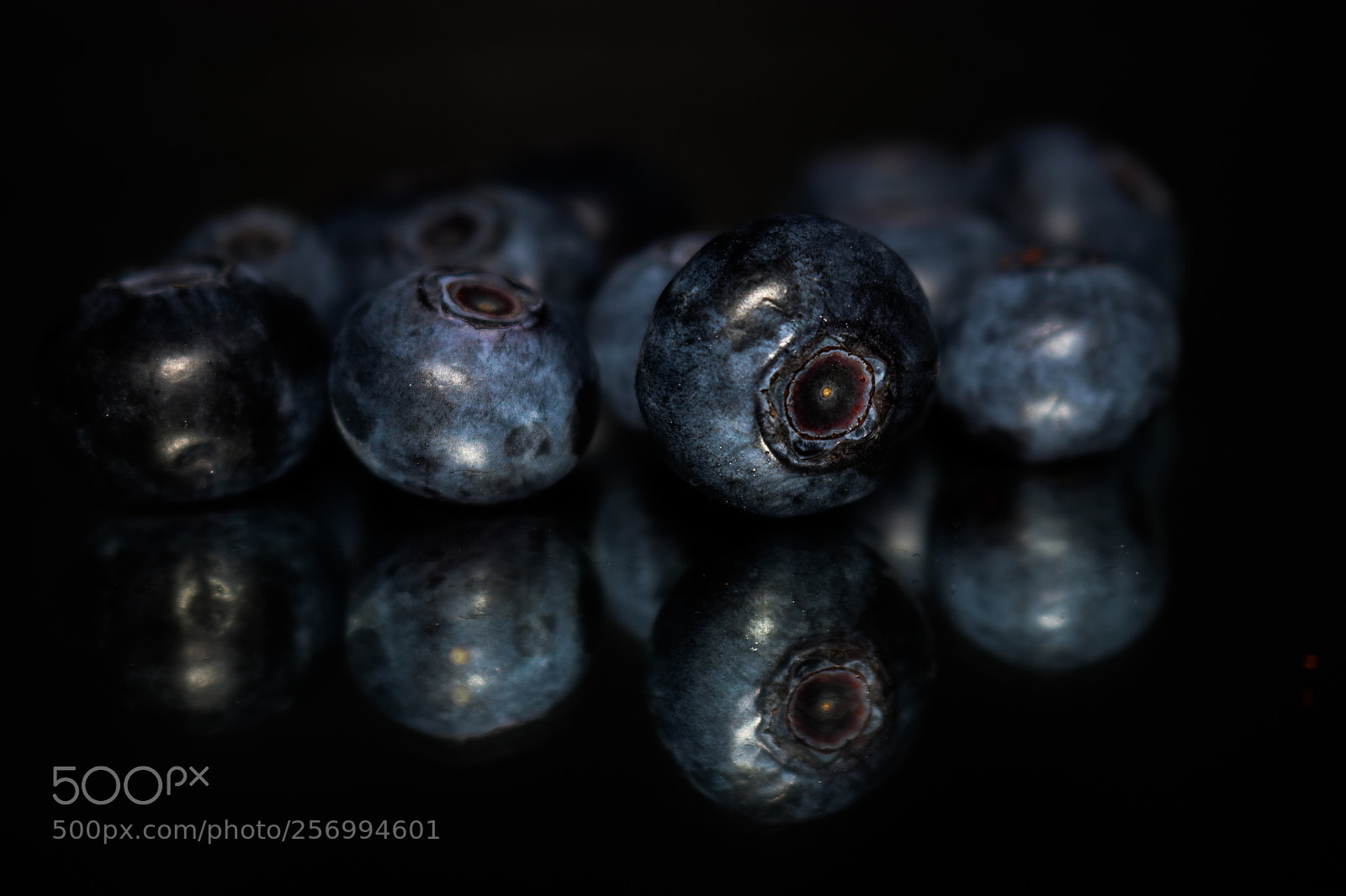 Canon EOS 80D sample photo. Blueberry photography