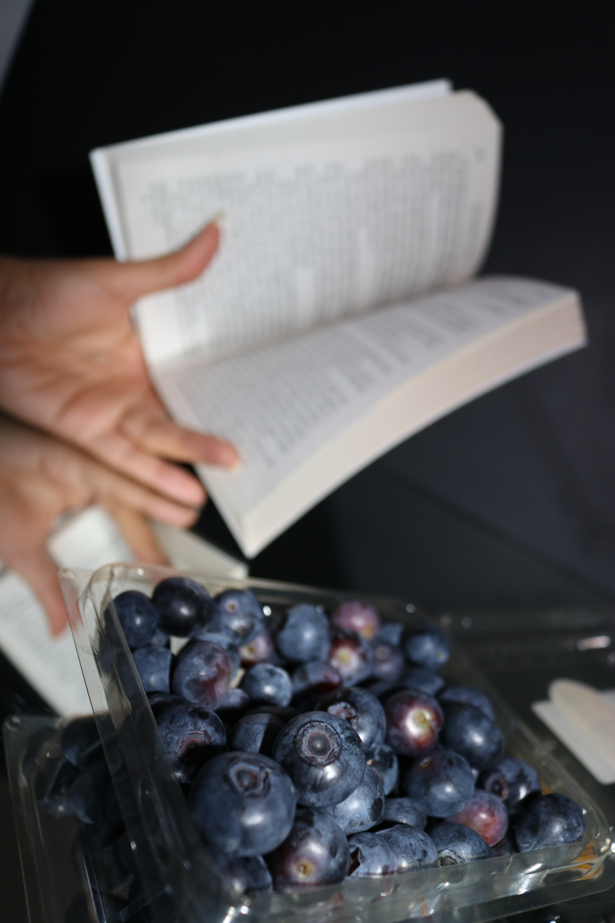 Canon EOS 80D sample photo. Reading with blueberry photography