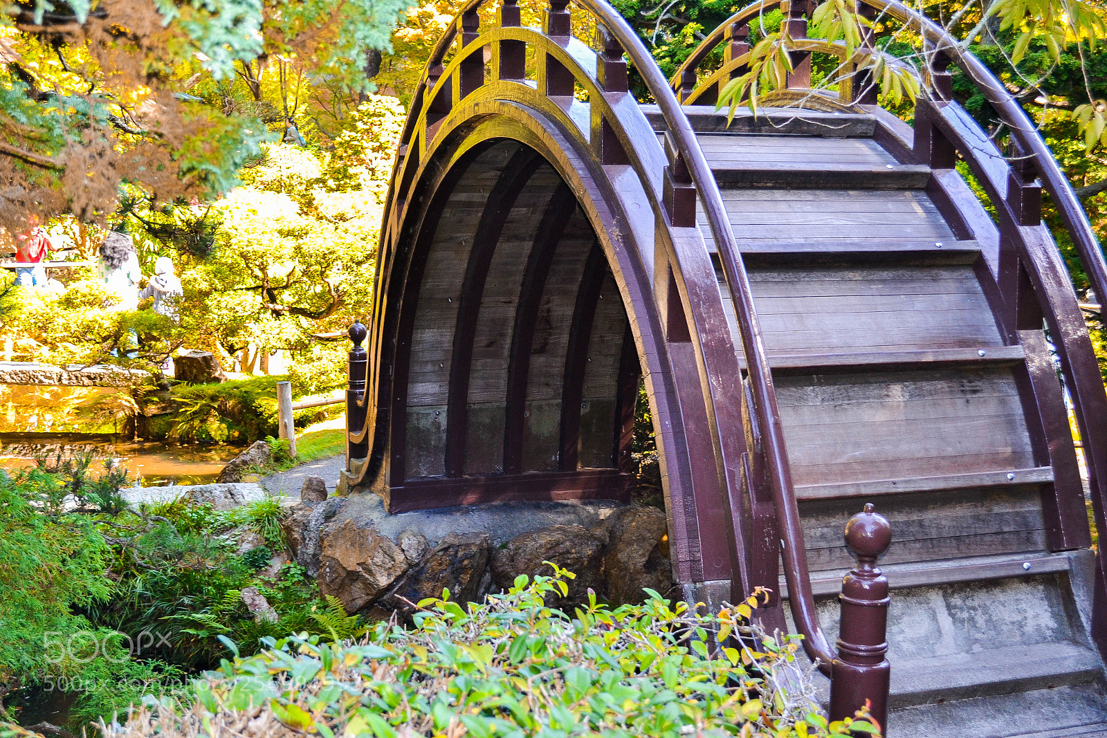 Nikon D3100 sample photo. Sanfran photography