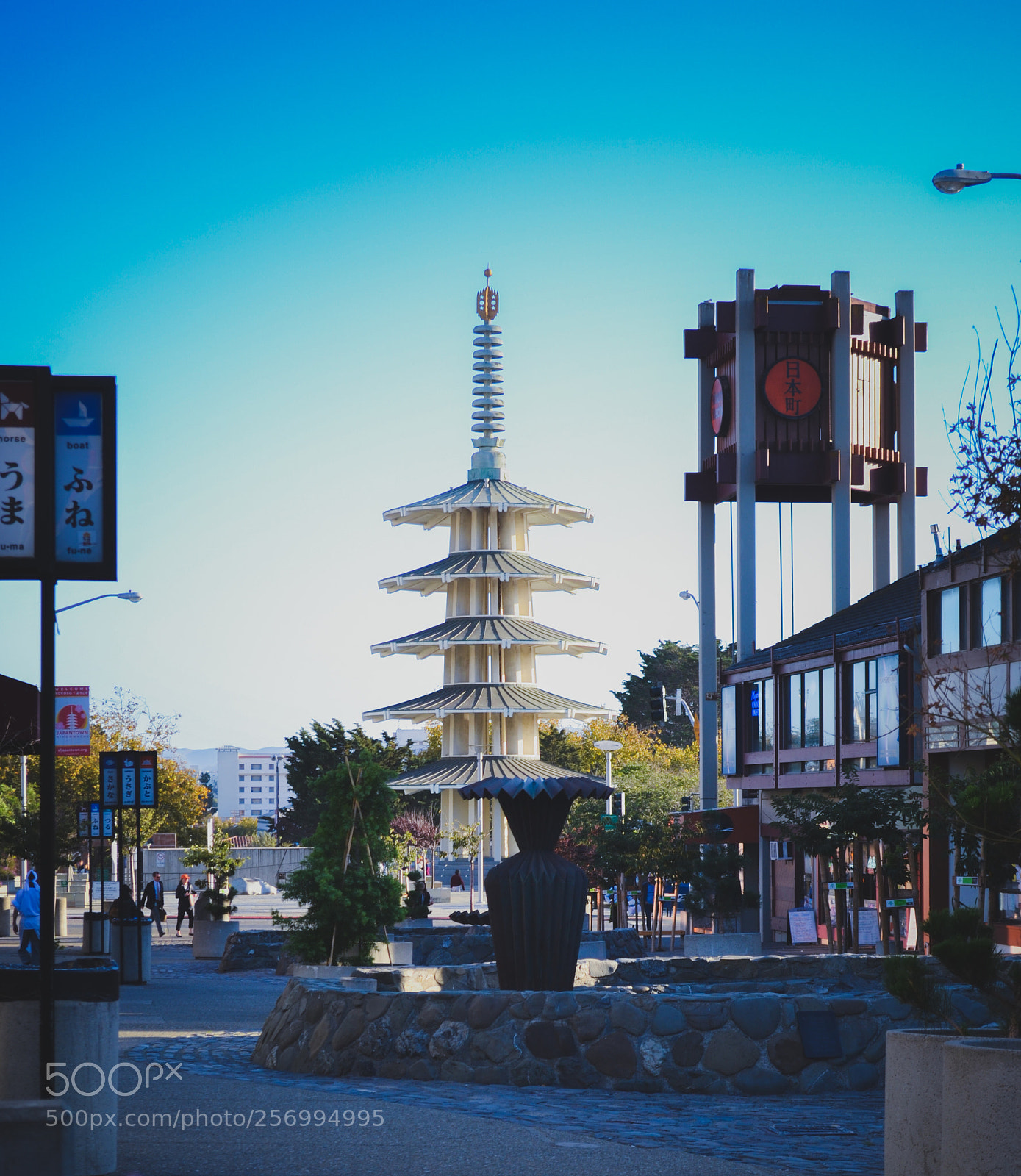 Nikon D3100 sample photo. San-fran photography