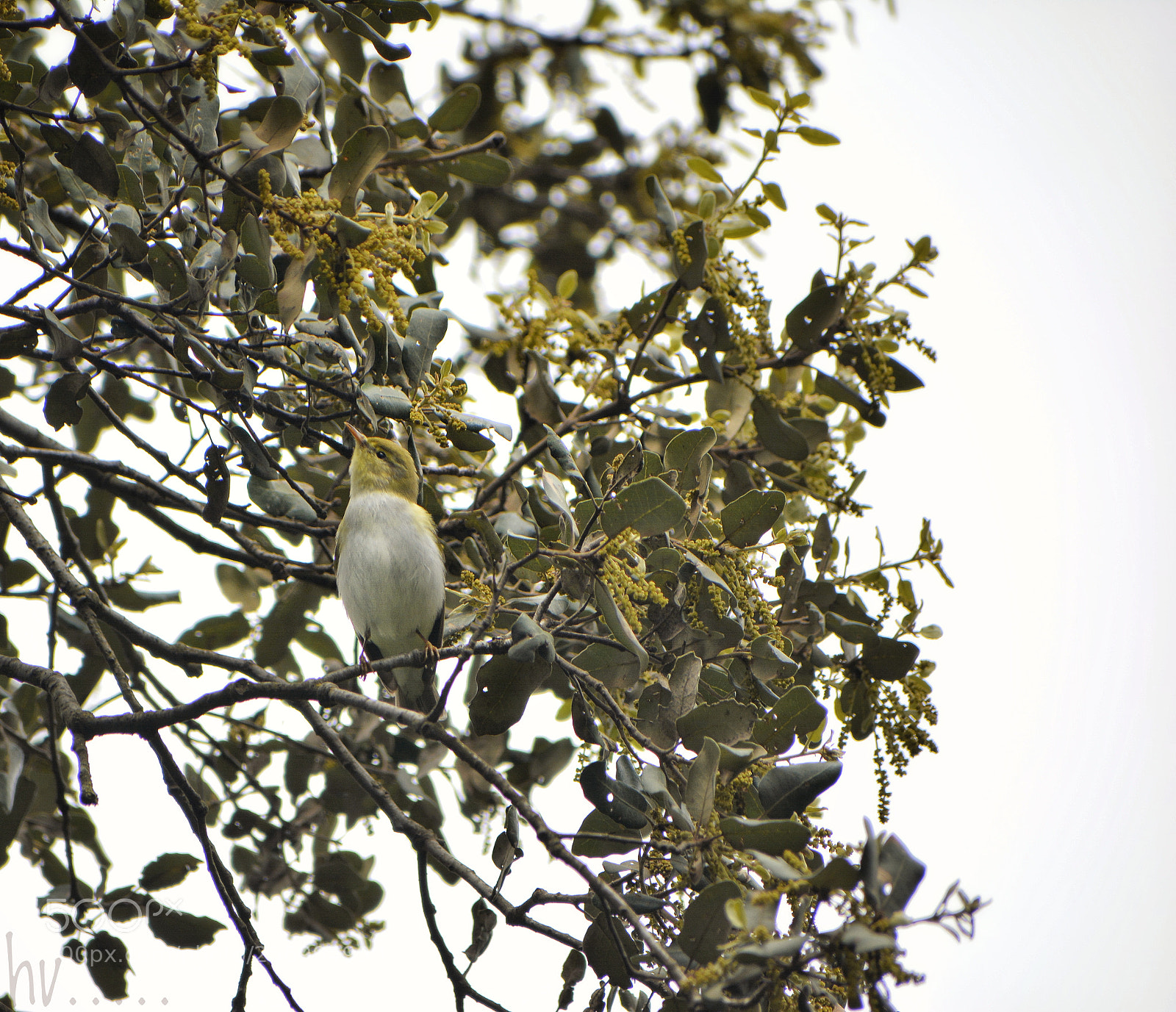 Nikon D7100 sample photo. Merge photography