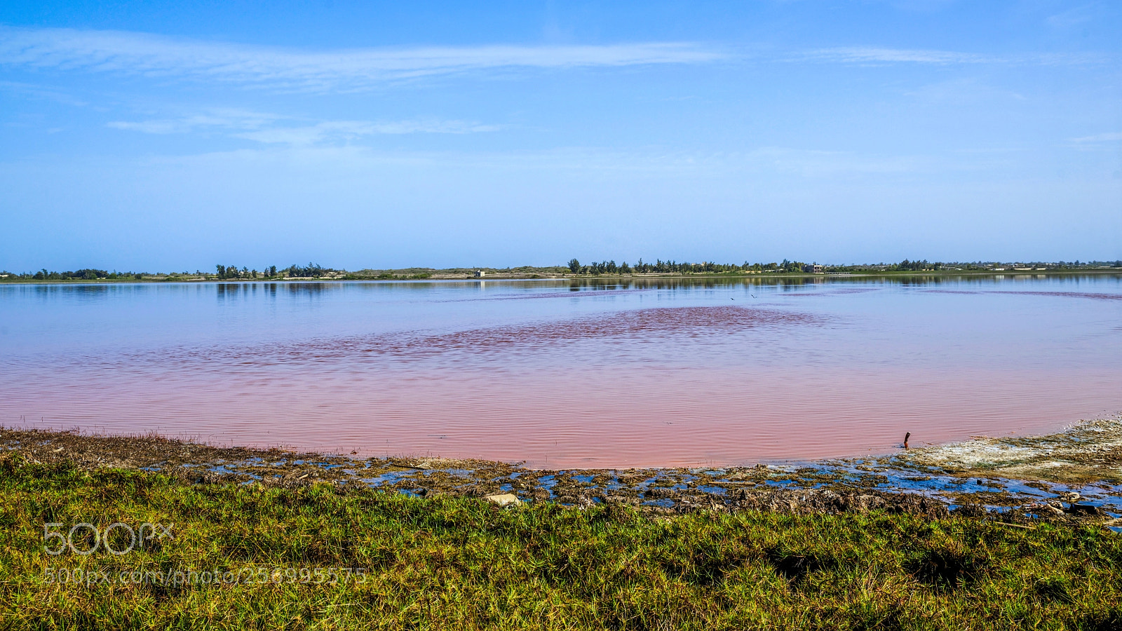 Nikon D600 sample photo. "lac rose" in senegal photography