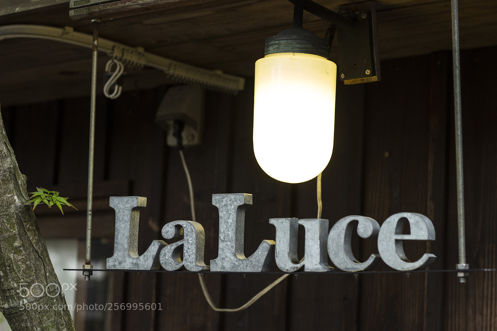 Canon EOS 600D (Rebel EOS T3i / EOS Kiss X5) sample photo. Laluce photography
