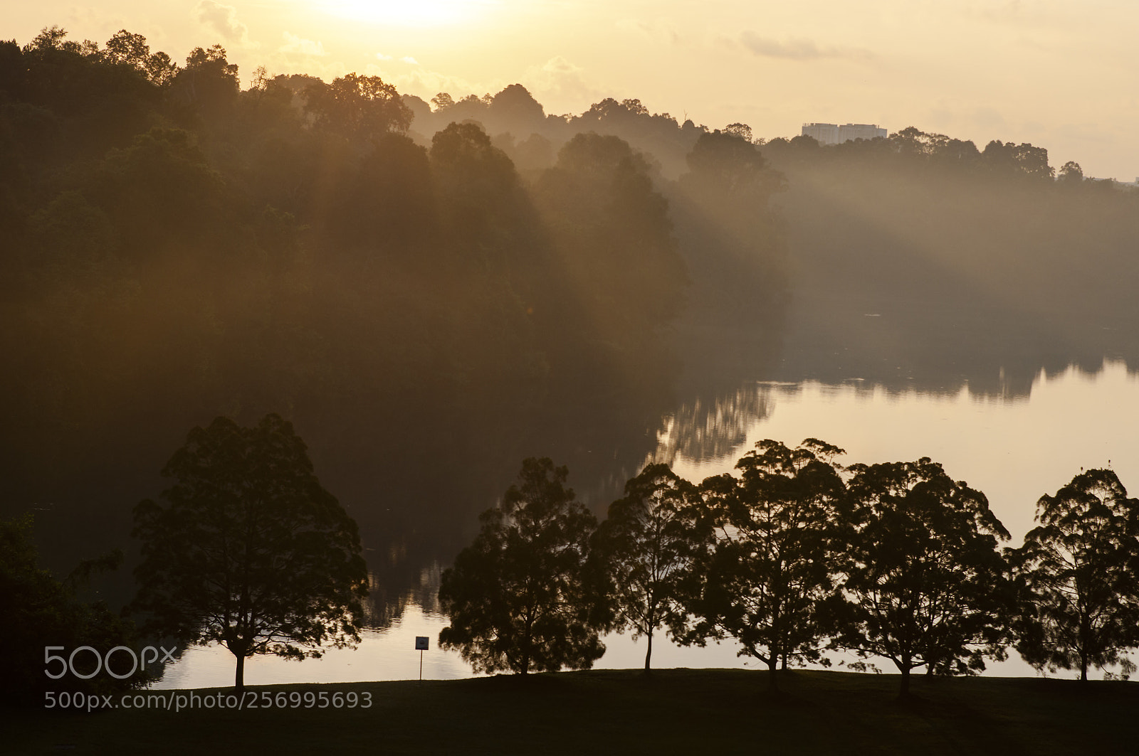 Nikon D90 sample photo. Sunrise photography