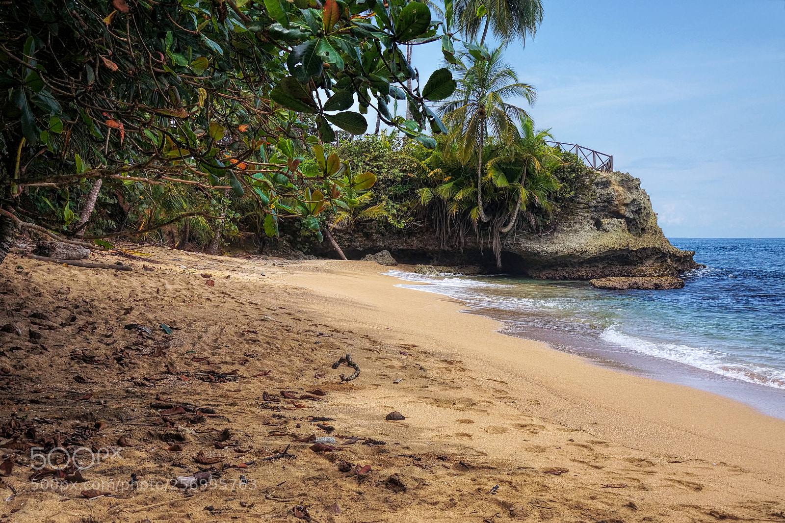 Sony SLT-A77 sample photo. Costa rica caribbean photography