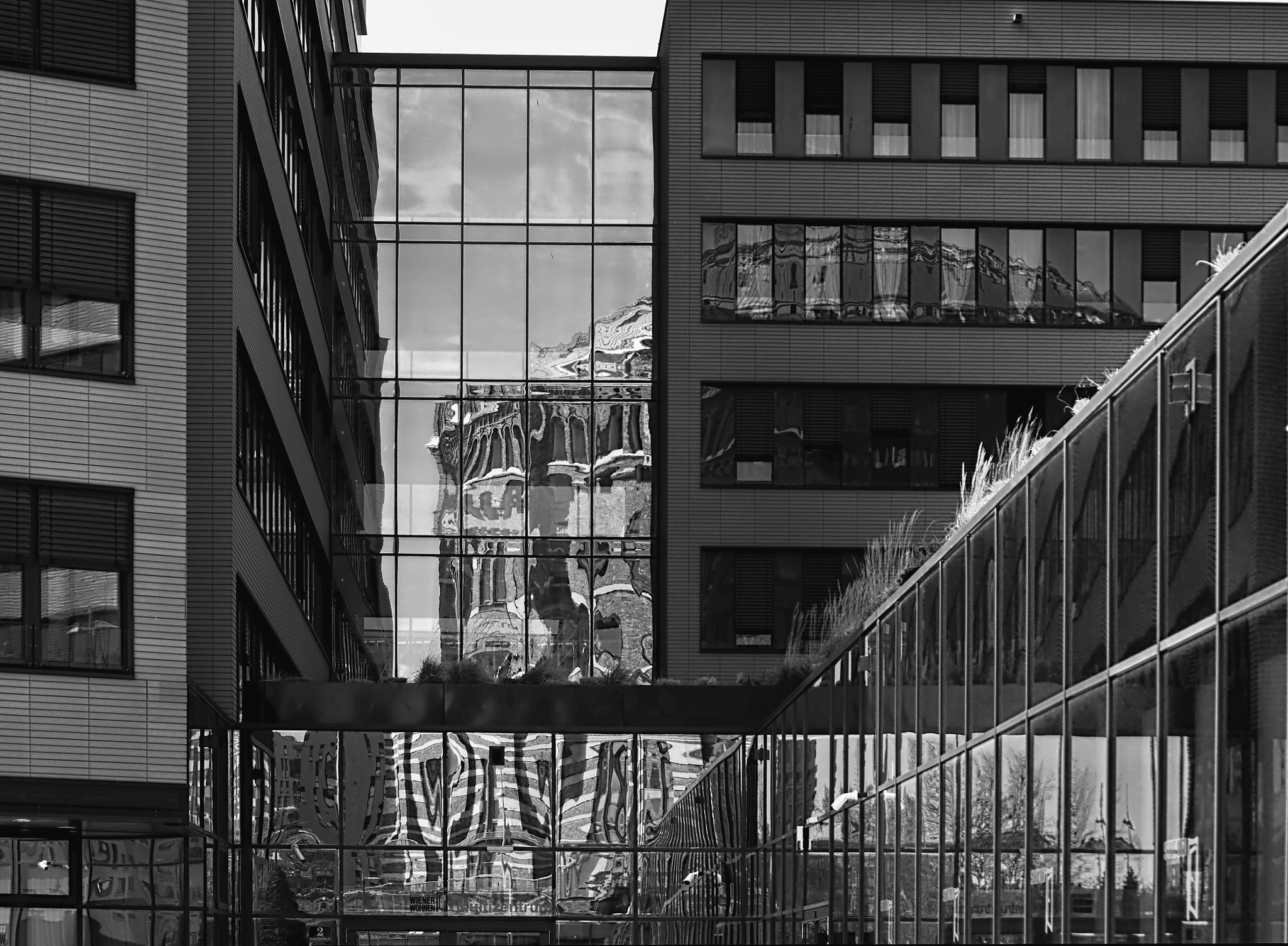 Panasonic DMC-G81 sample photo. Reflections photography