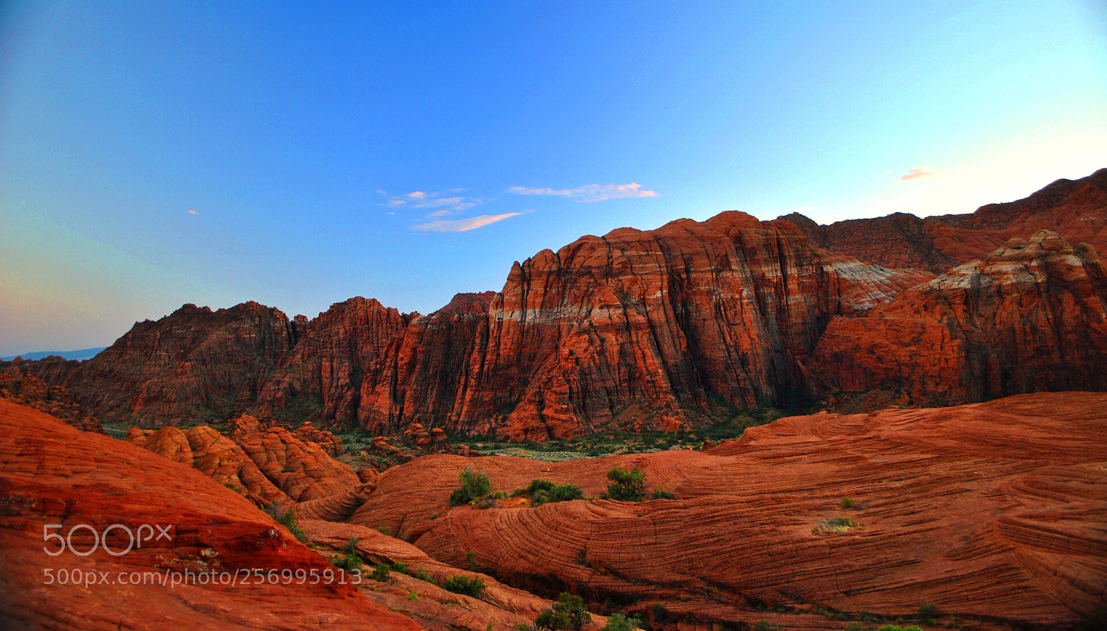 Nikon D3000 sample photo. Snow canyon state park photography