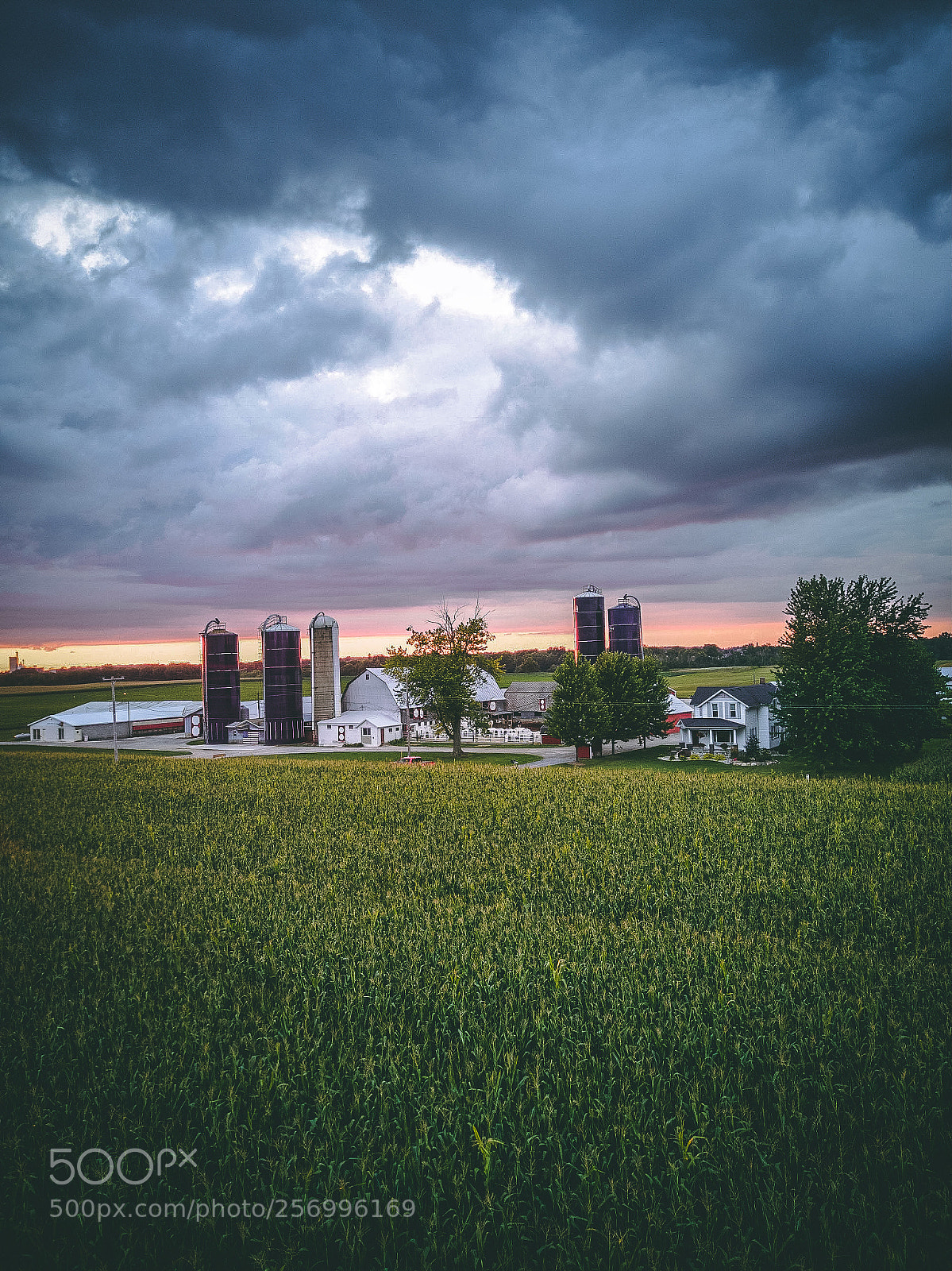 DJI FC220 sample photo. Michgan farm - summer 2017 photography