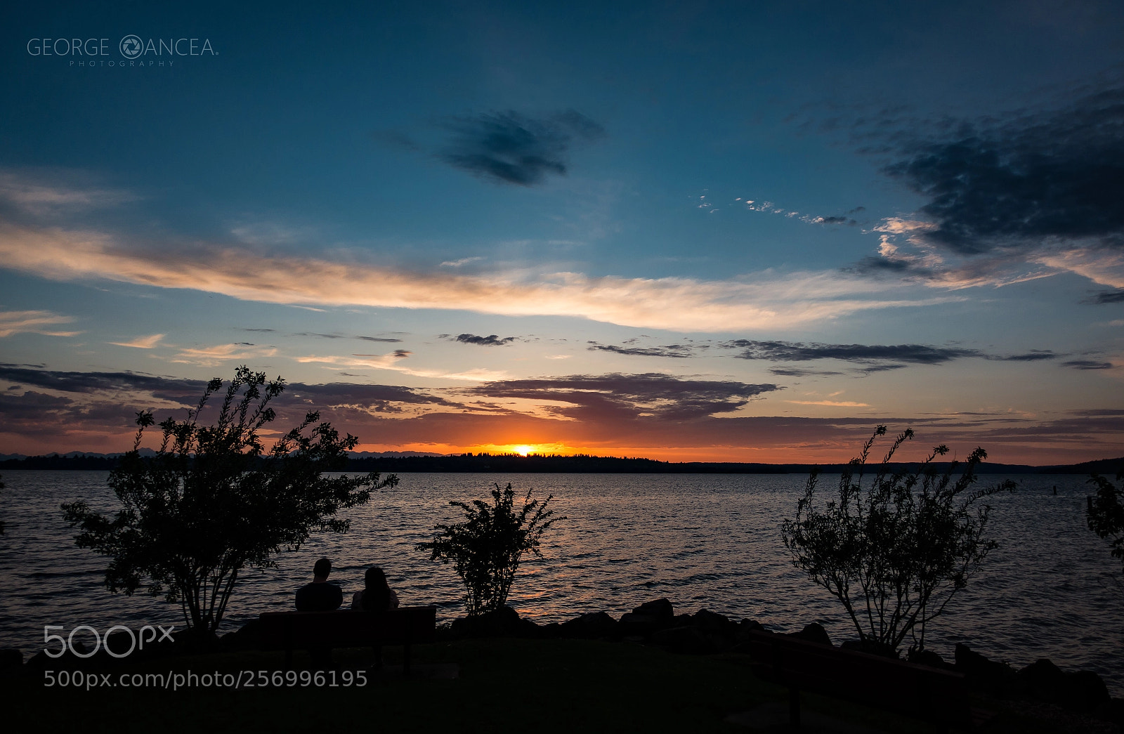 Sony Cyber-shot DSC-RX100 IV sample photo. By the lake photography