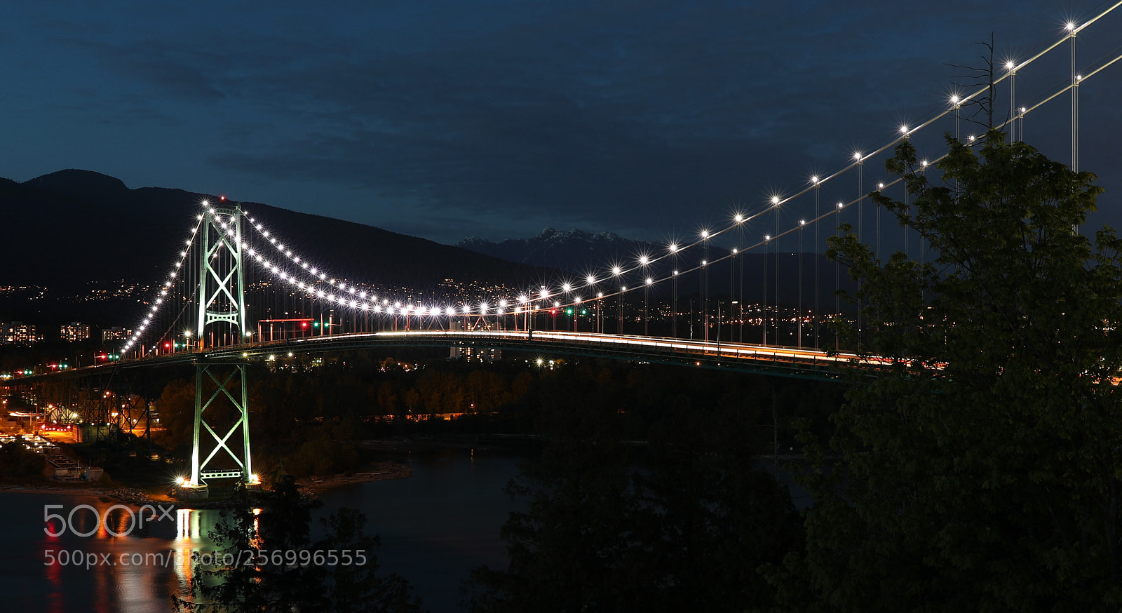 Canon EF 24-70mm F2.8L II USM sample photo. Night view of lions photography