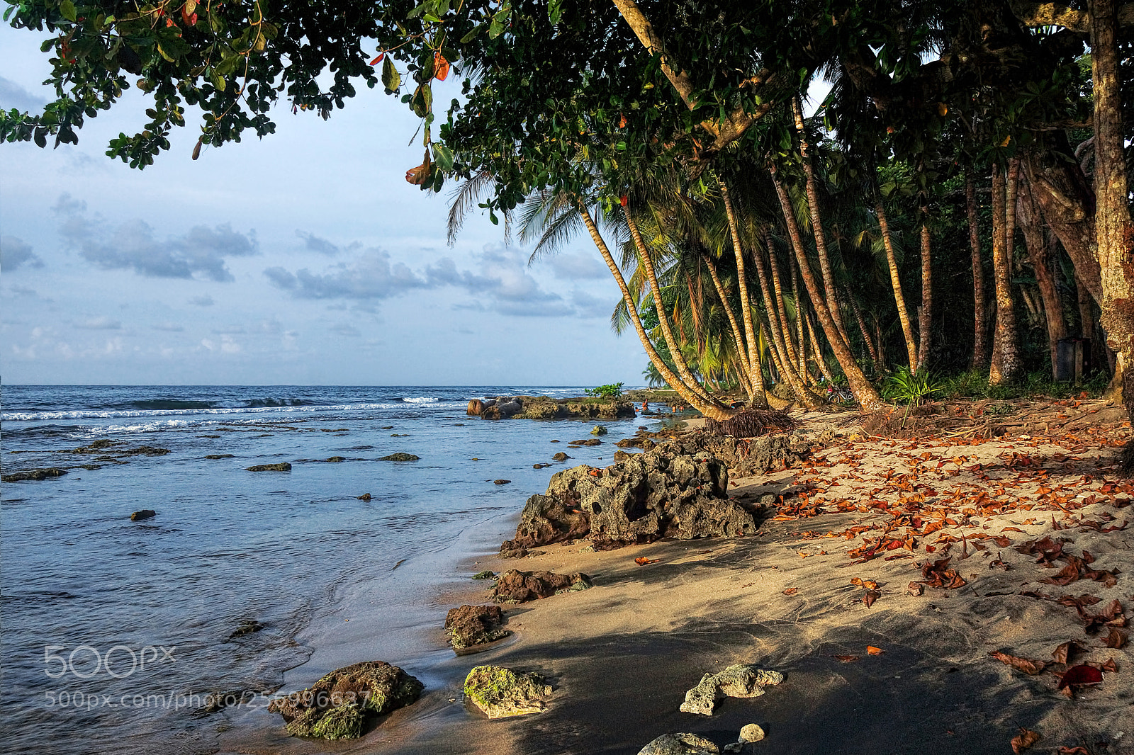 Sony SLT-A77 sample photo. Costa rica caribbean photography