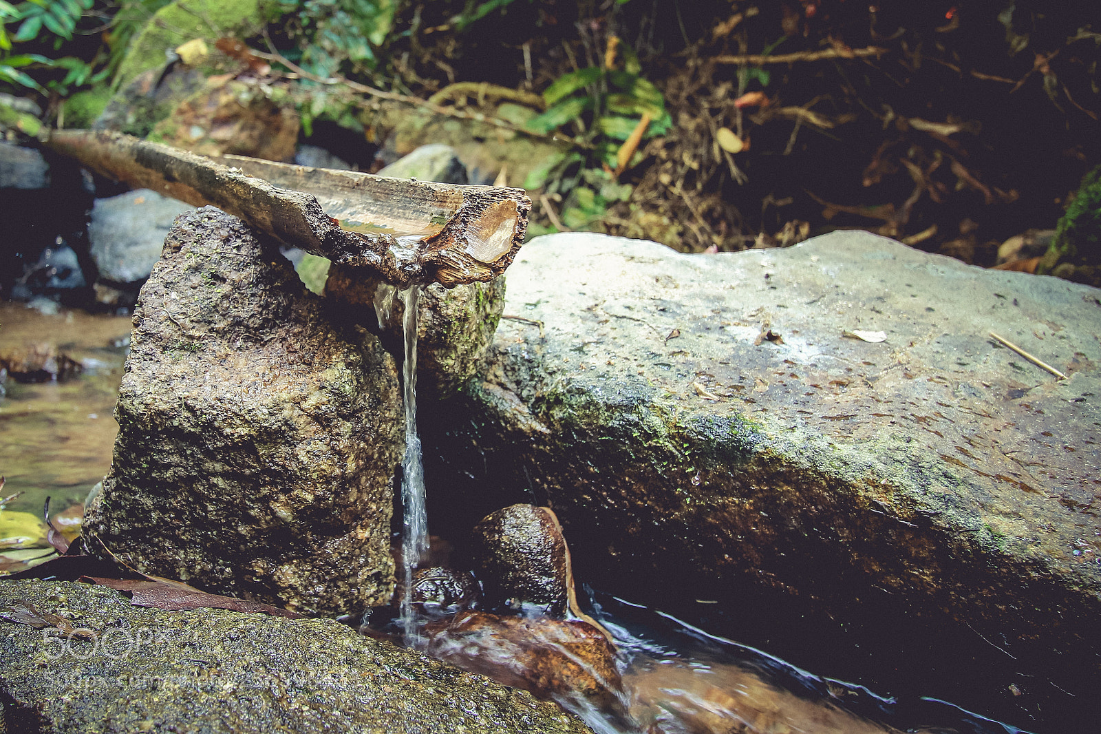 Canon EOS 7D Mark II sample photo. Img photography