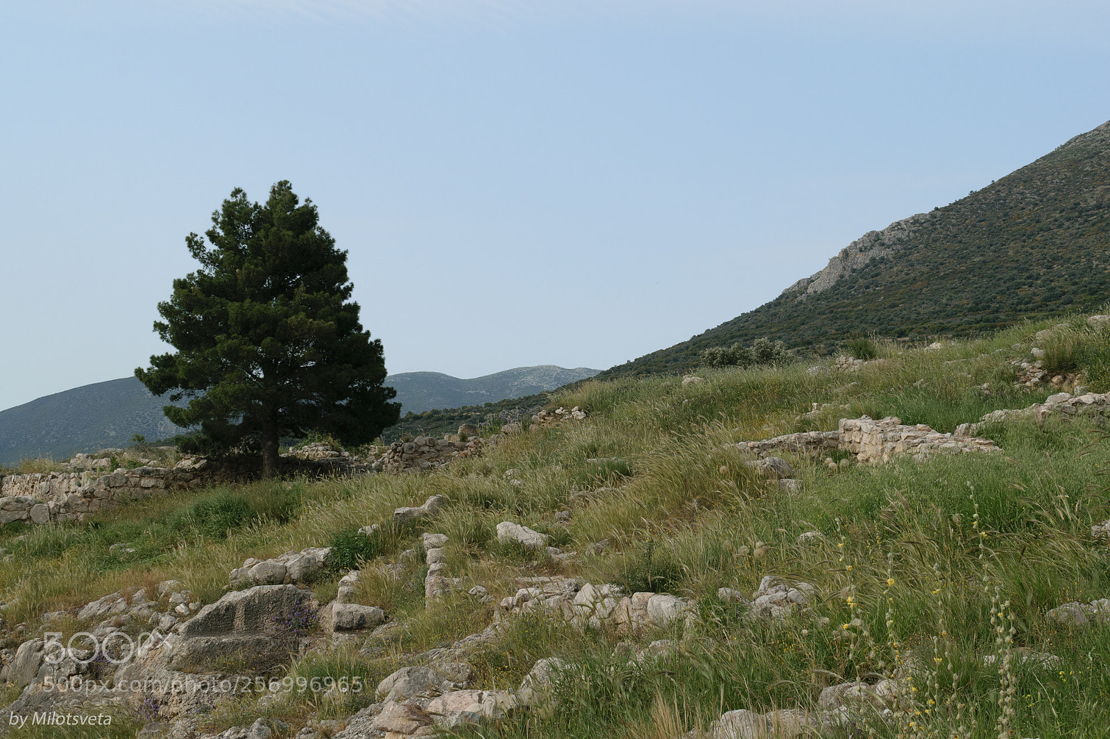 Nikon D3300 sample photo. Grass and stones photography