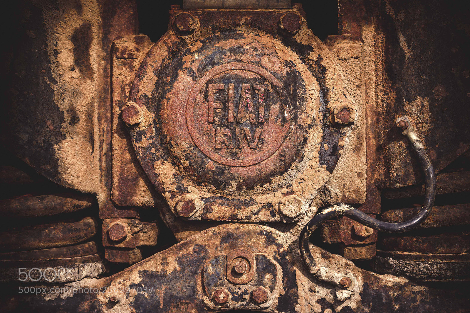Nikon D600 sample photo. Fiat photography