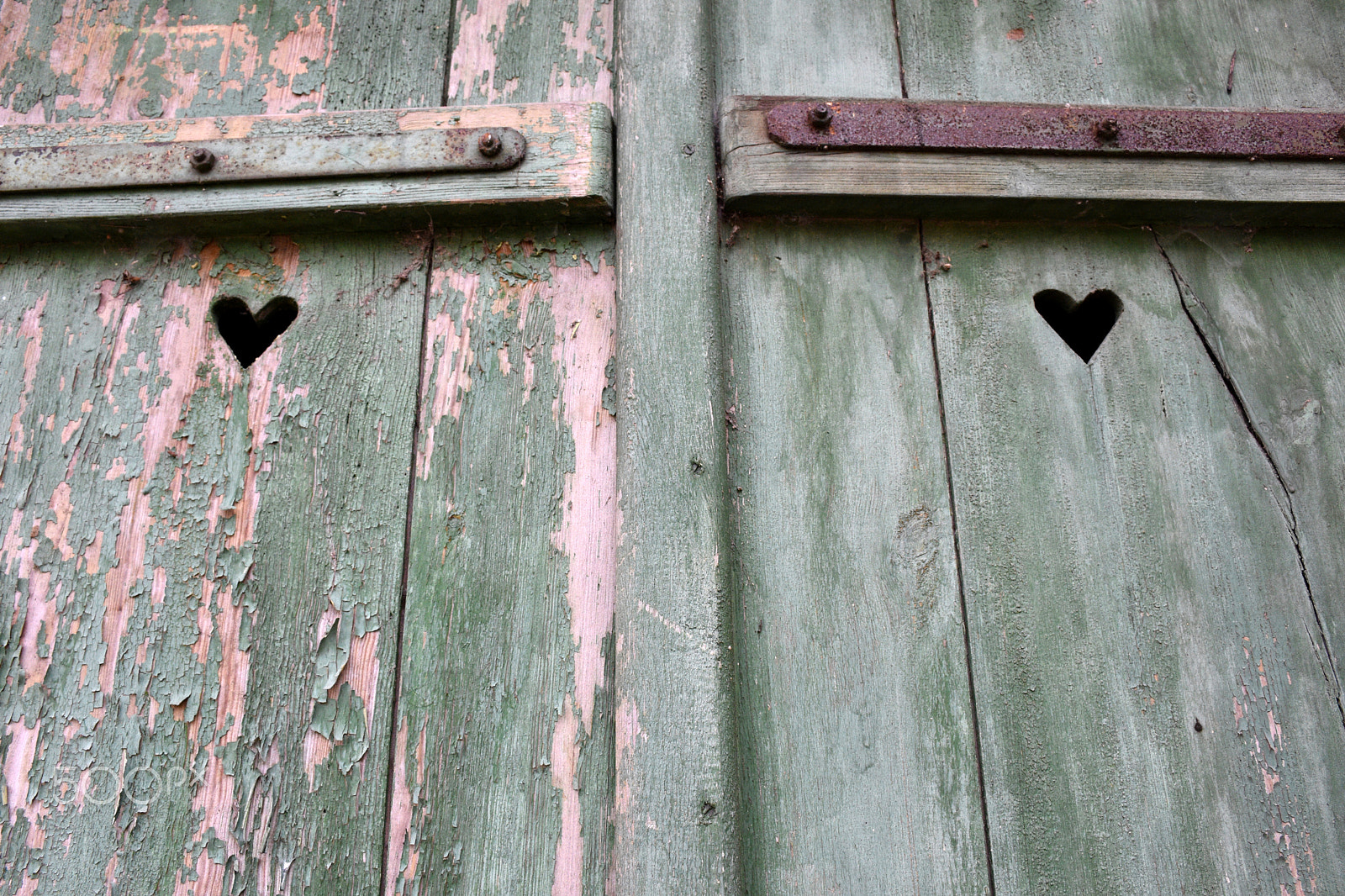Nikon D7200 sample photo. 2 love photography