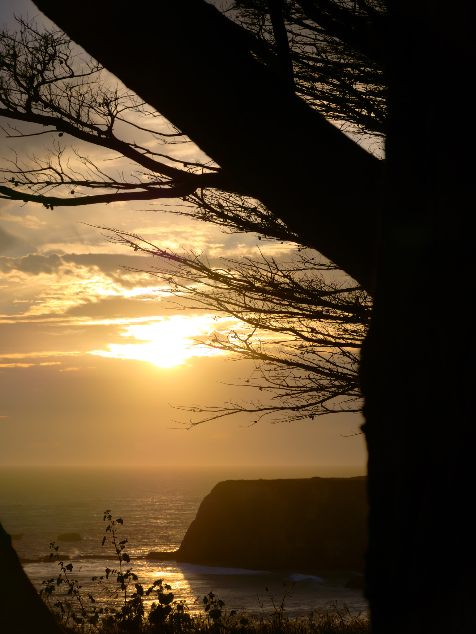Panasonic Lumix DMC-G85 (Lumix DMC-G80) sample photo. Davenport beach sunset photography