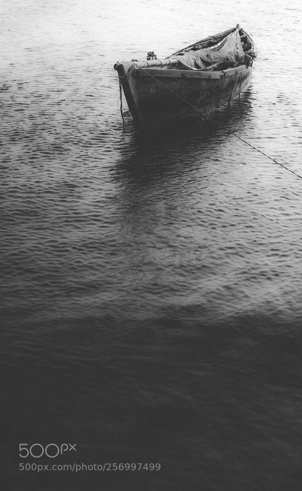 Nikon D610 sample photo. Serenity photography