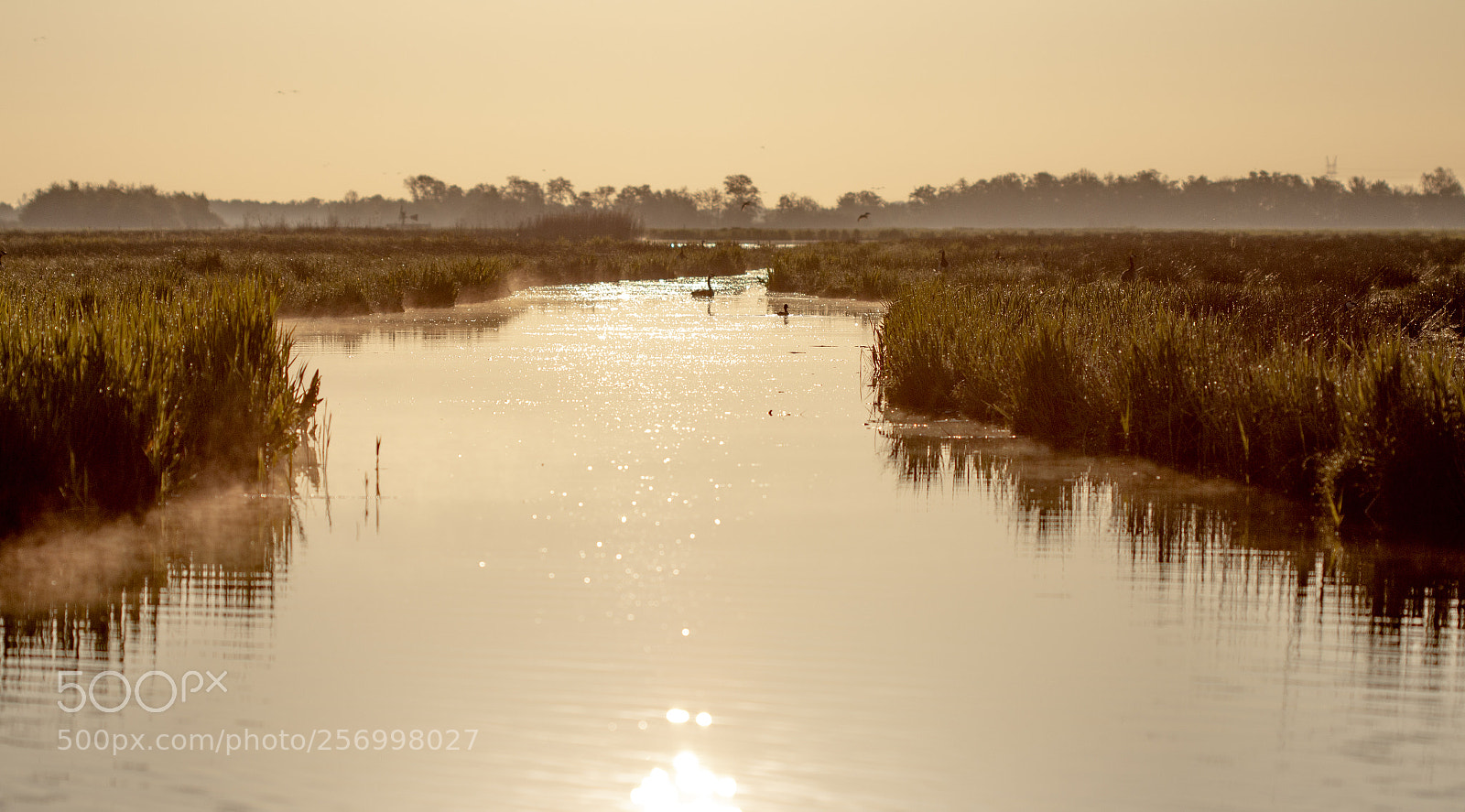 Canon EOS 70D sample photo. A new day in photography