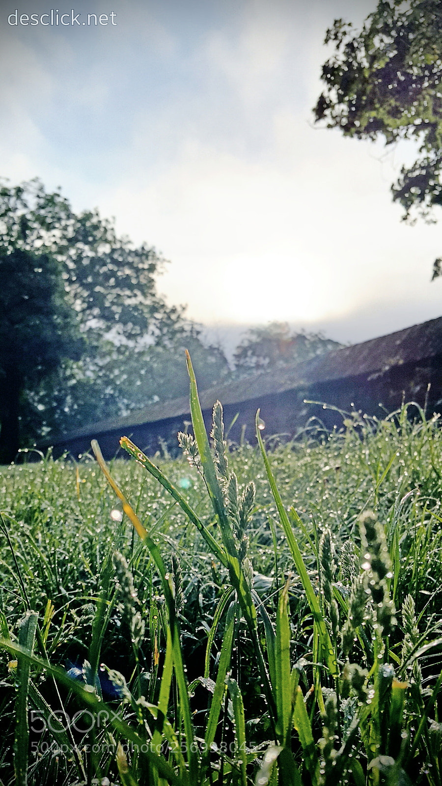 Samsung Galaxy Note4 sample photo. Lookin' up in the photography