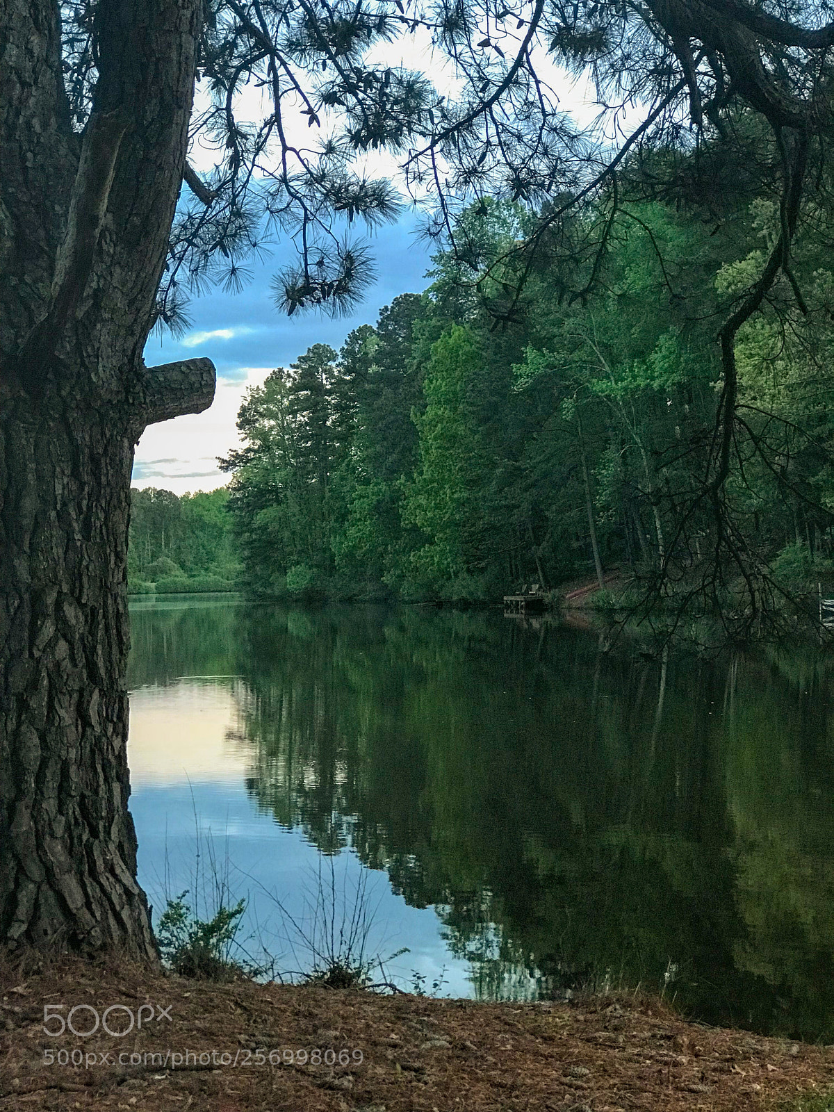 Apple iPhone 7 Plus sample photo. Solitude 2  photography