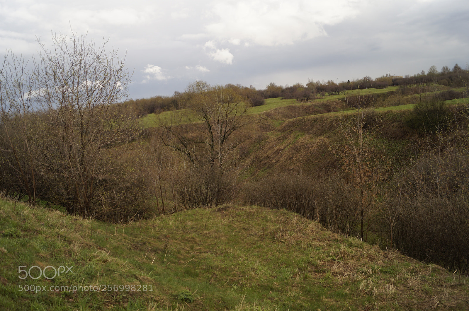Sony SLT-A57 sample photo. Untitled photography