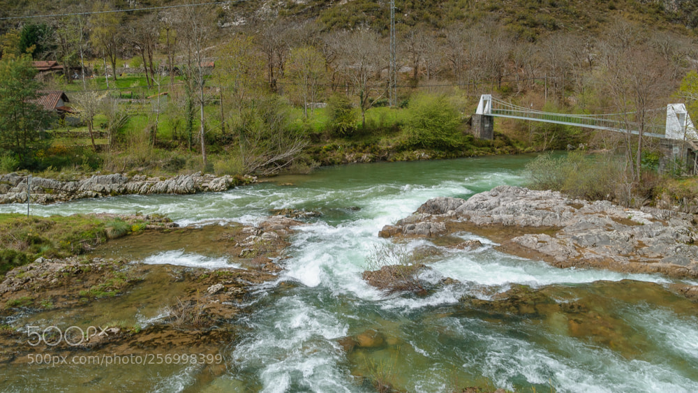 Nikon D3000 sample photo. Confluencia photography